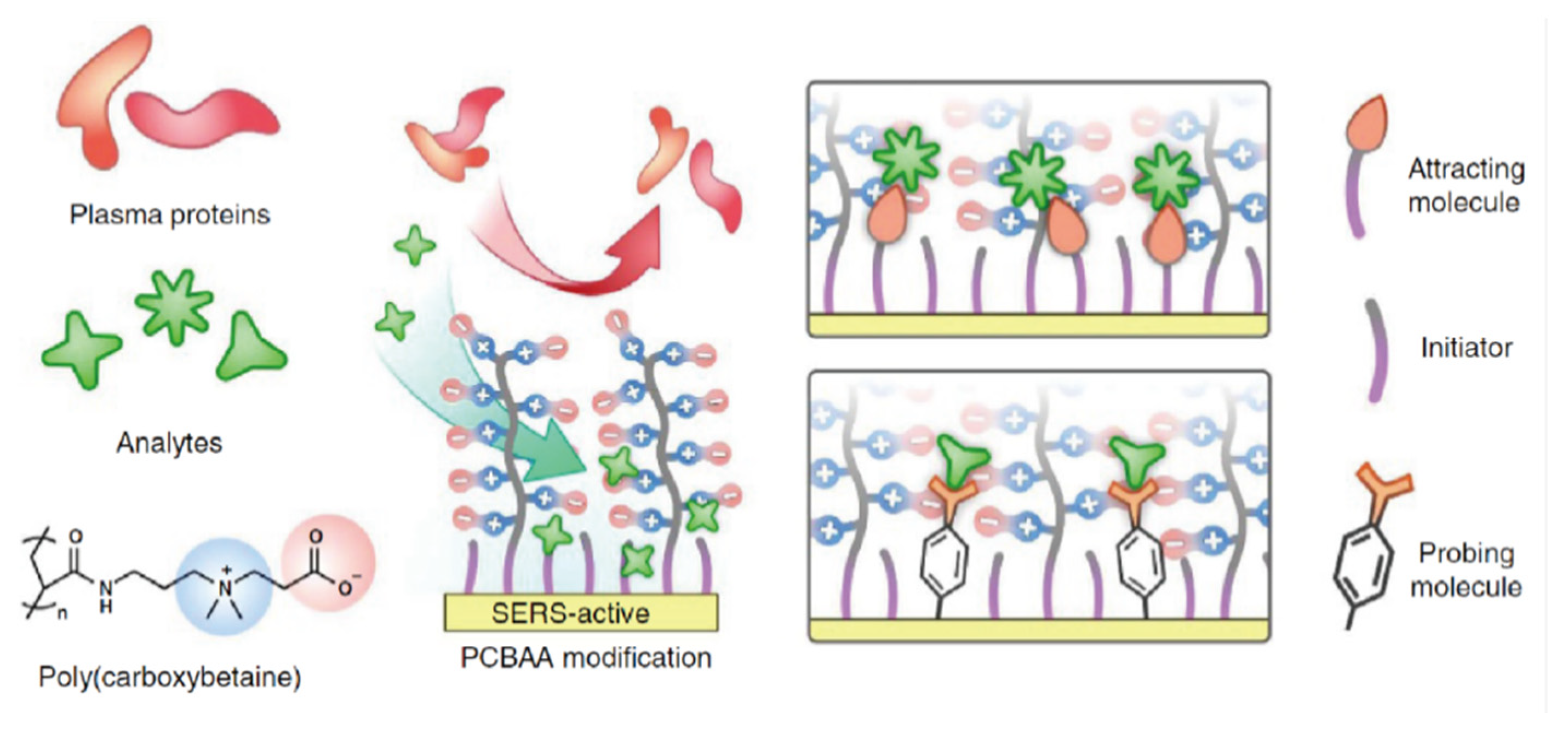 Sensors 20 02228 g010