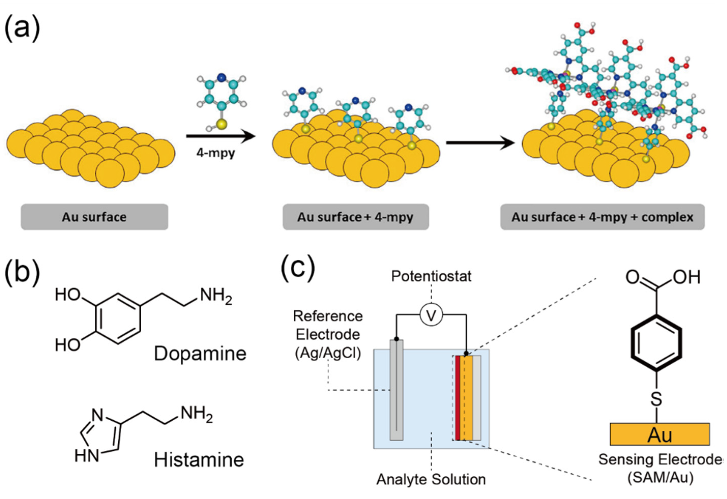 Sensors 20 02228 g012