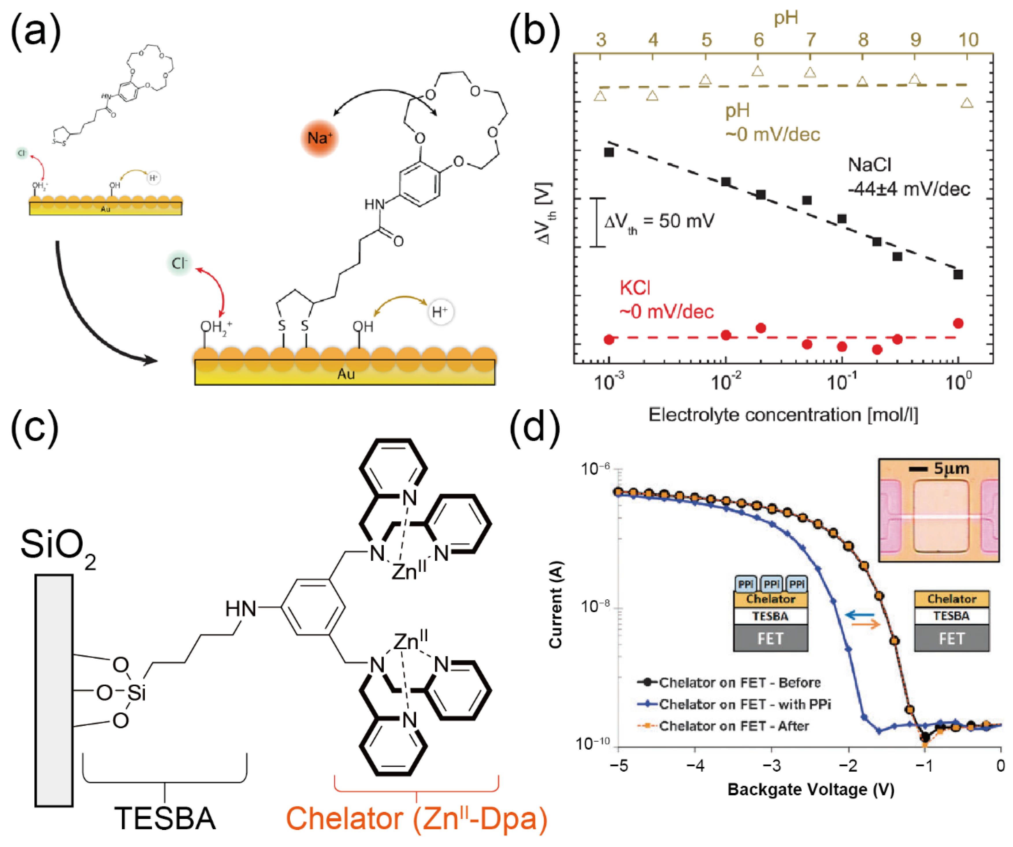 Sensors 20 02228 g013