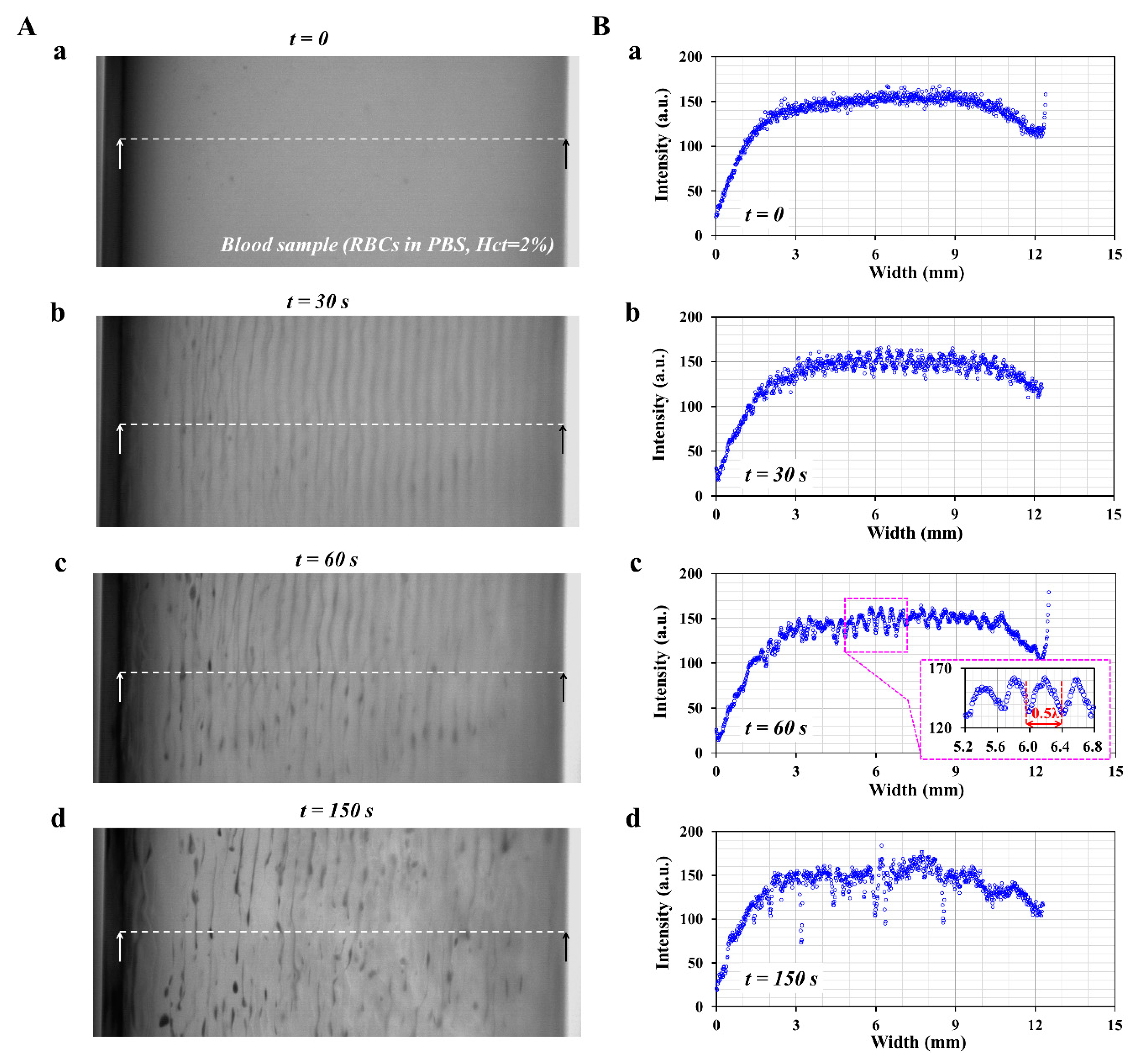 Sensors 20 02284 g003
