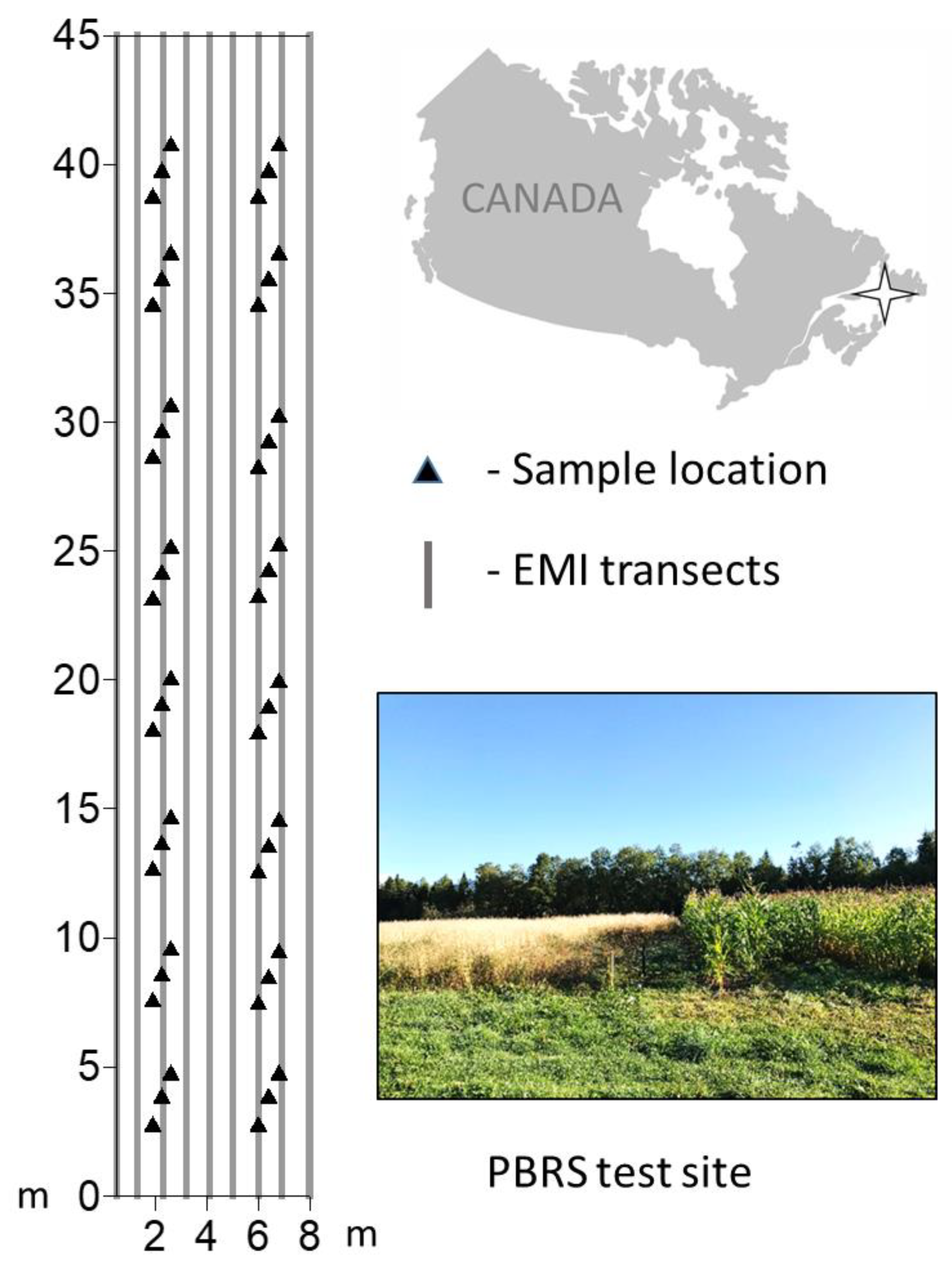 Sensors 20 02330 g001
