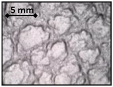 Sensors 20 02369 i001