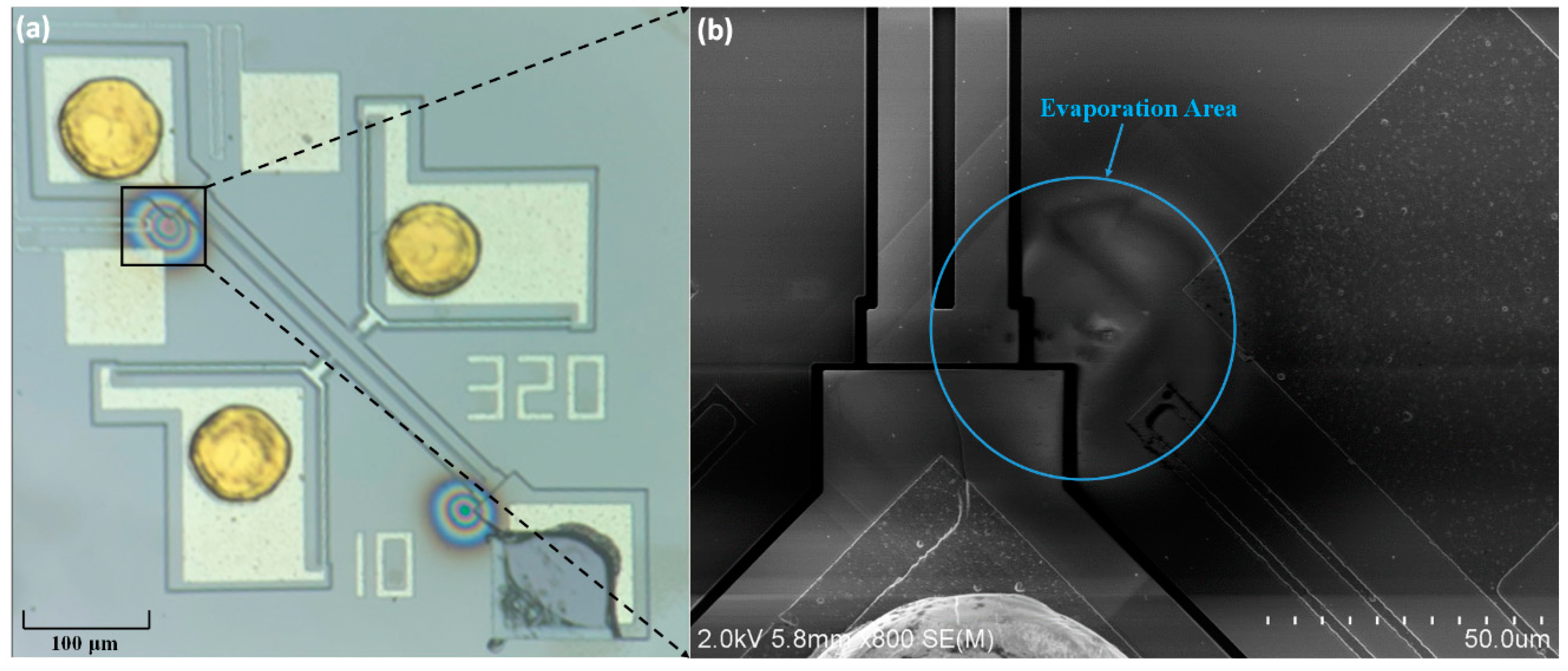 Sensors 20 02373 g012
