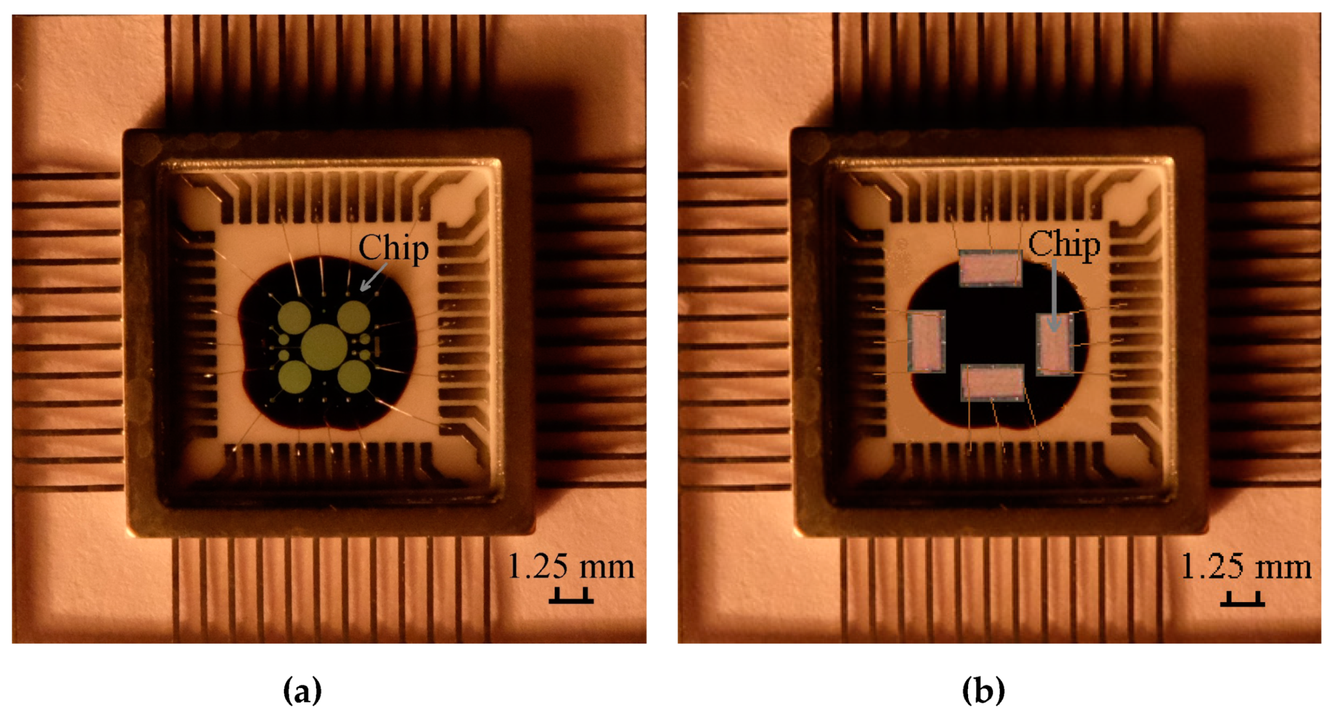 Sensors 20 02382 g001
