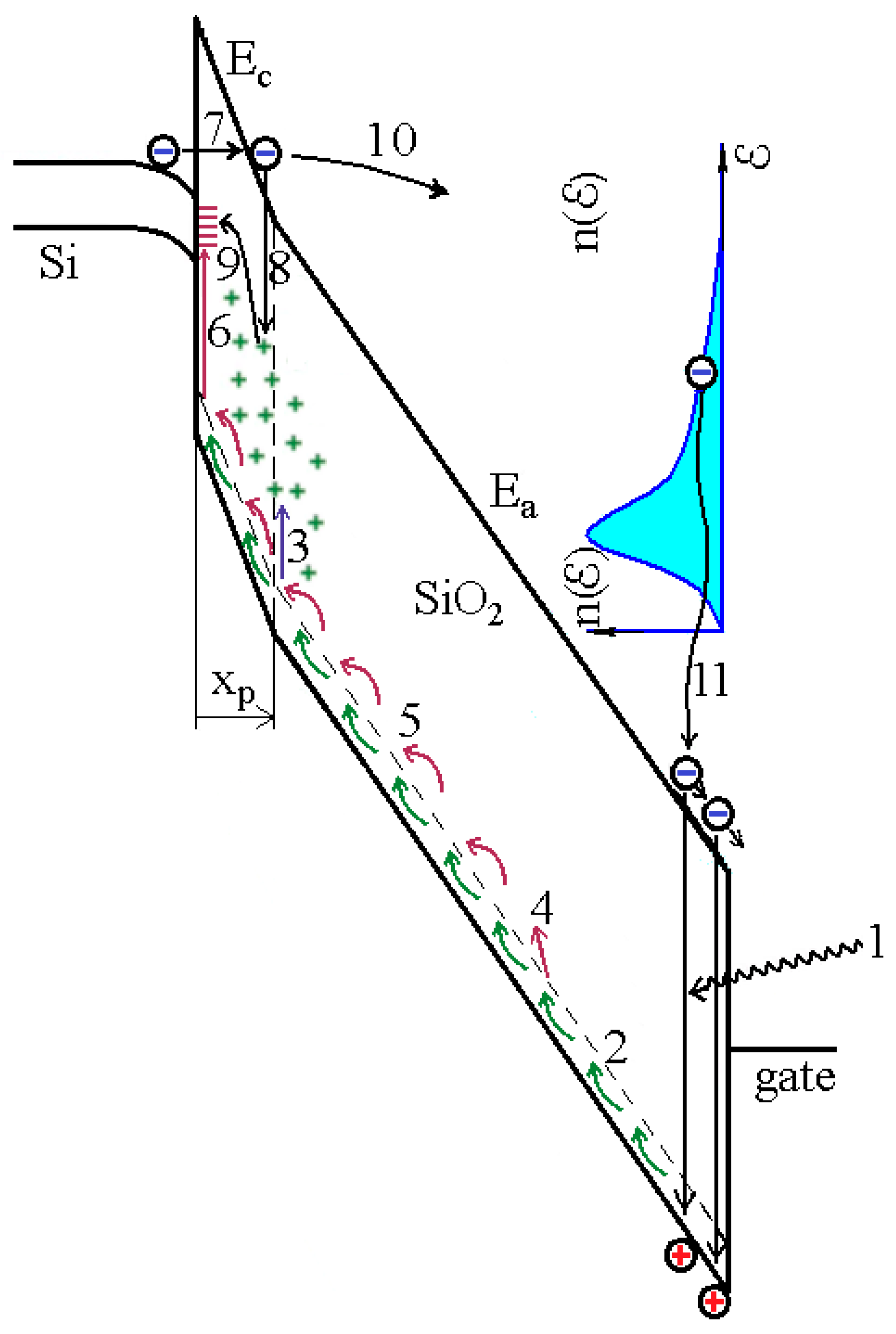 Sensors 20 02382 g002