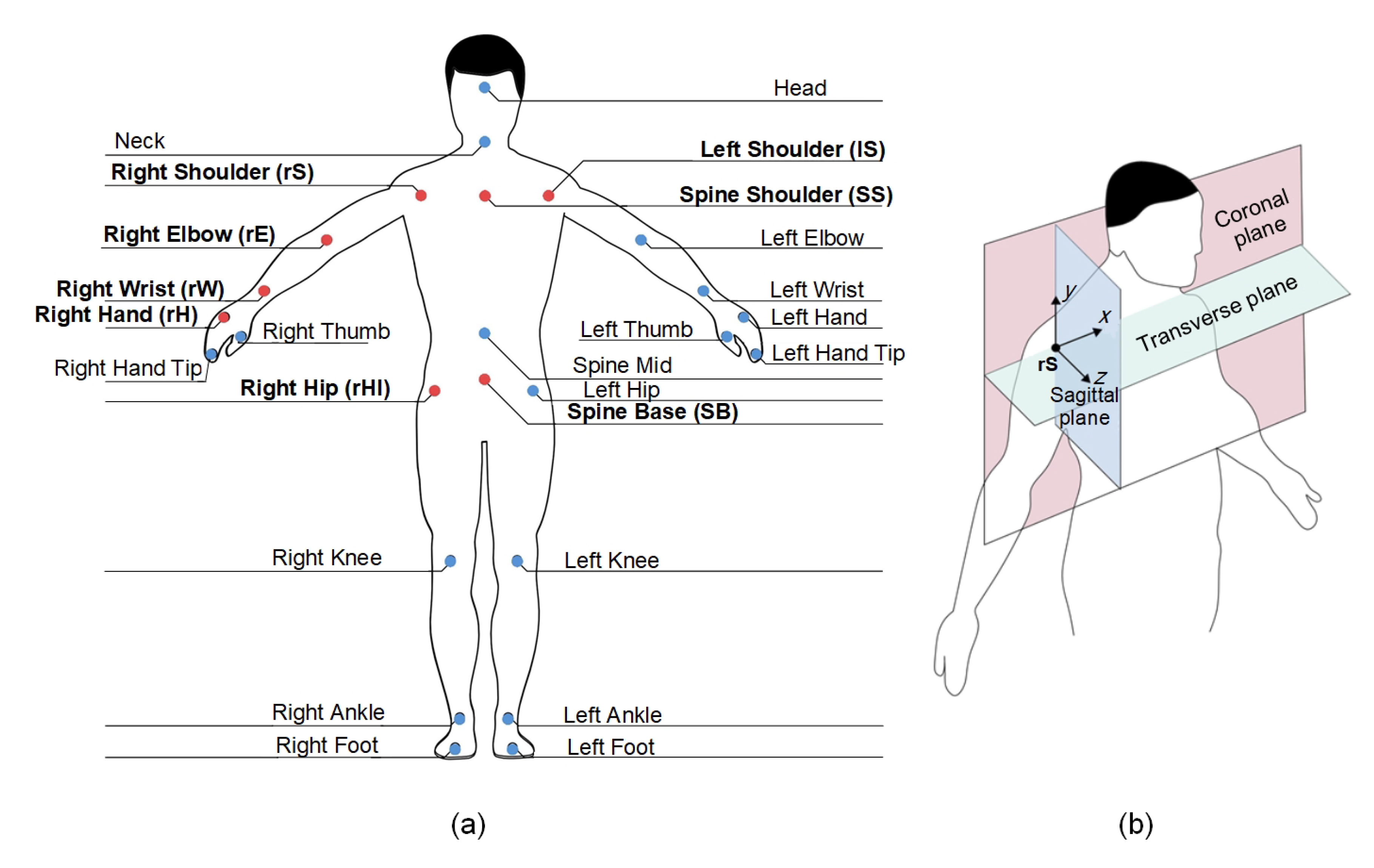 Sensors 20 02416 g004