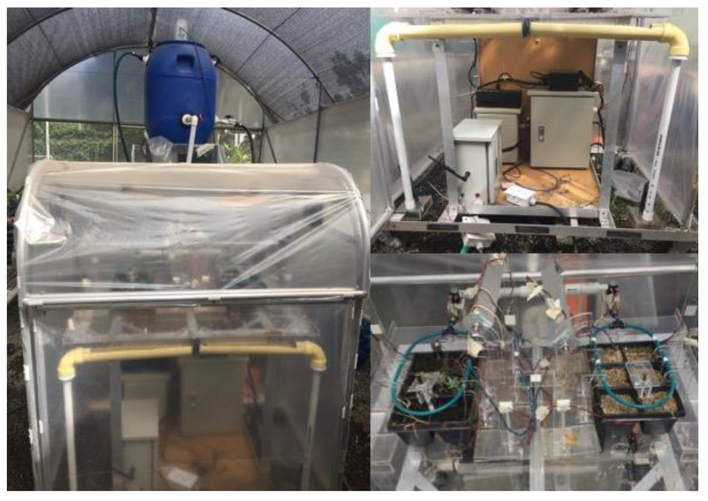 Sensors 20 02429 g011