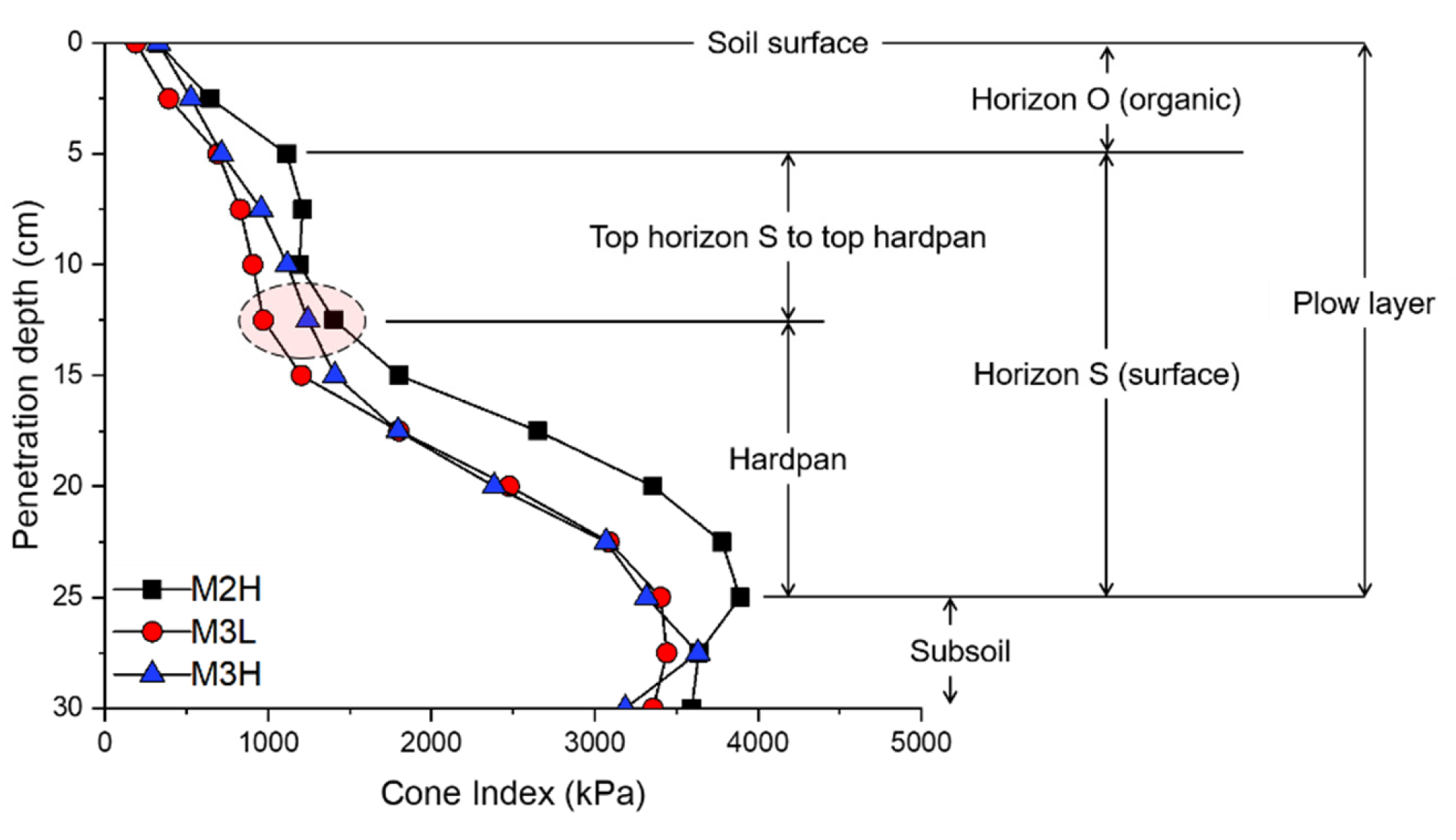 Sensors 20 02450 g005