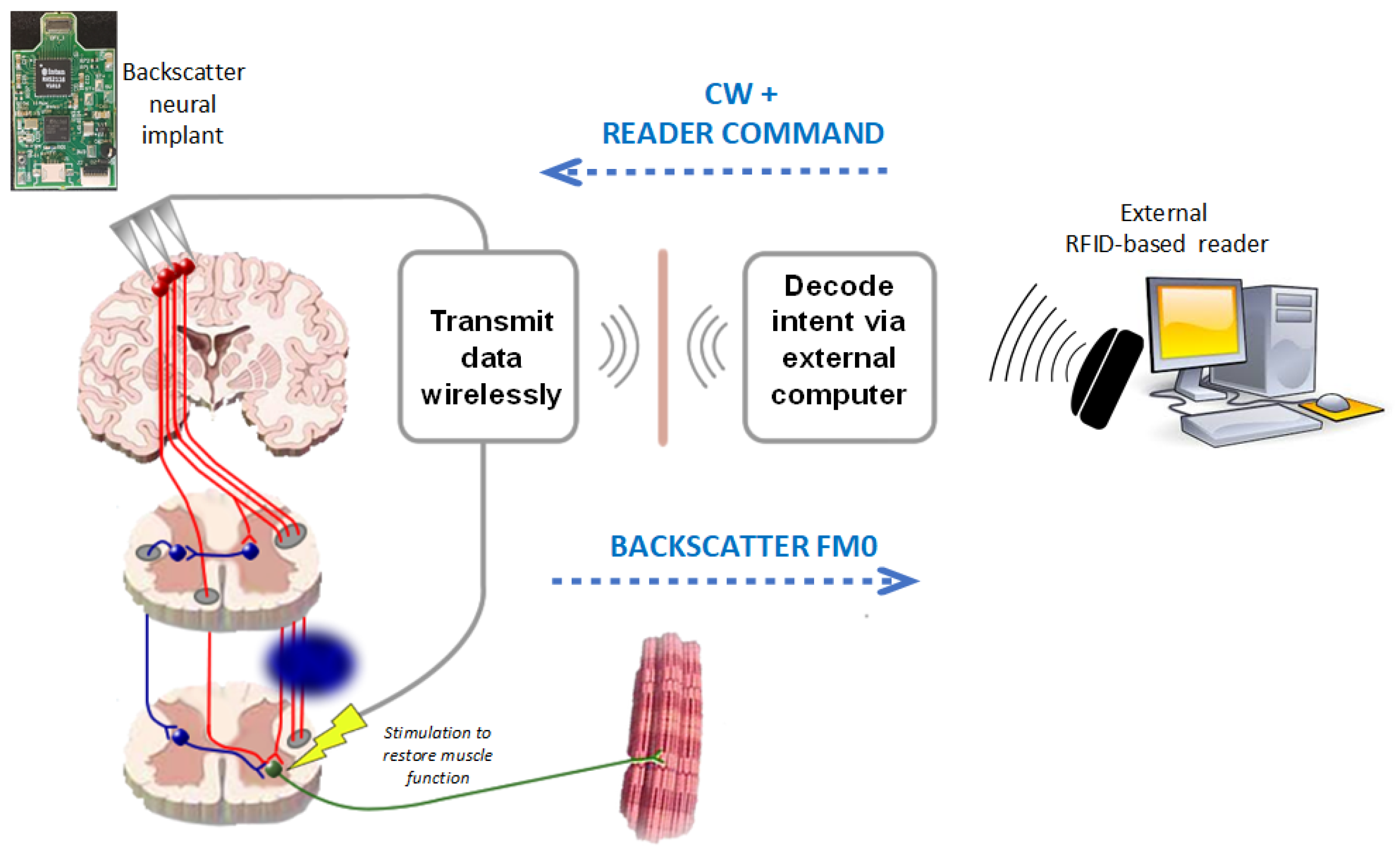 Sensors 20 02495 g002