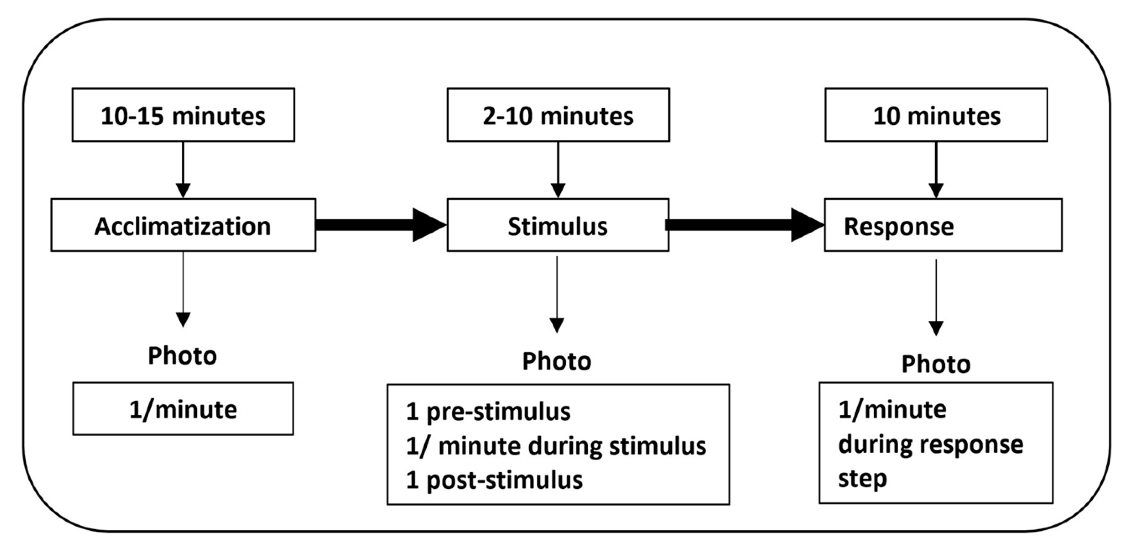 Sensors 20 02502 g003