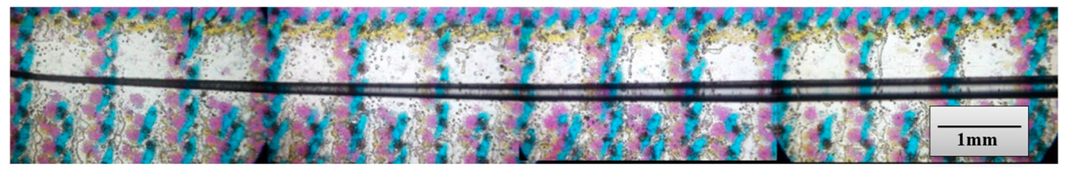 Sensors 20 02503 g003