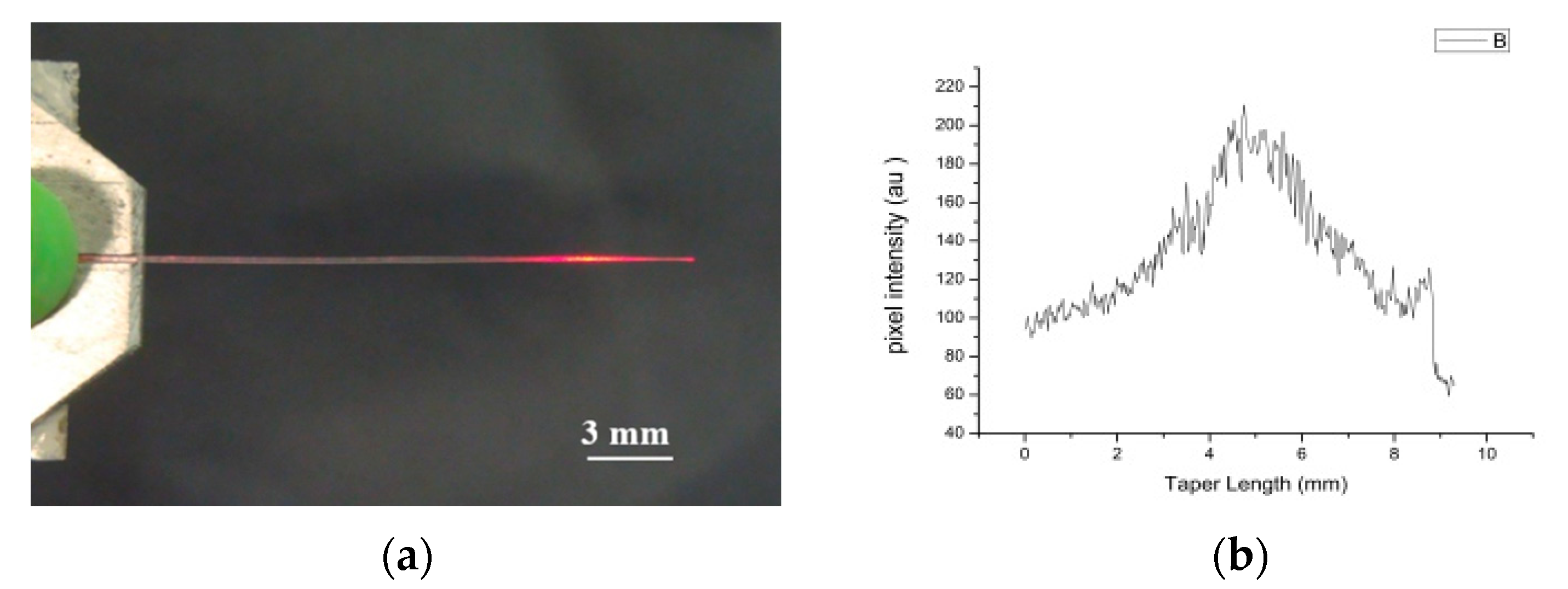 Sensors 20 02503 g004