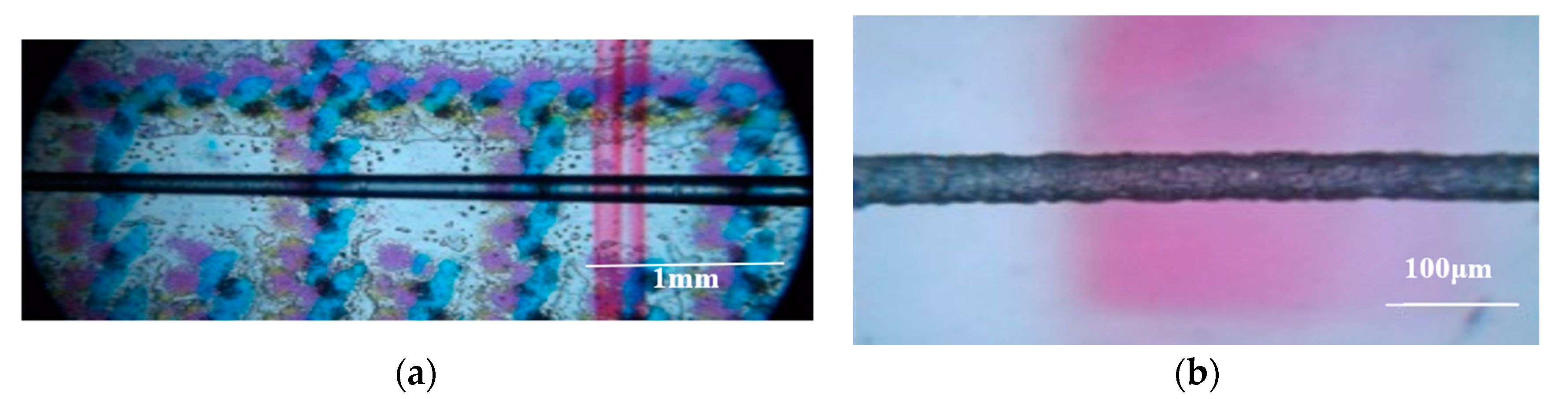 Sensors 20 02503 g006