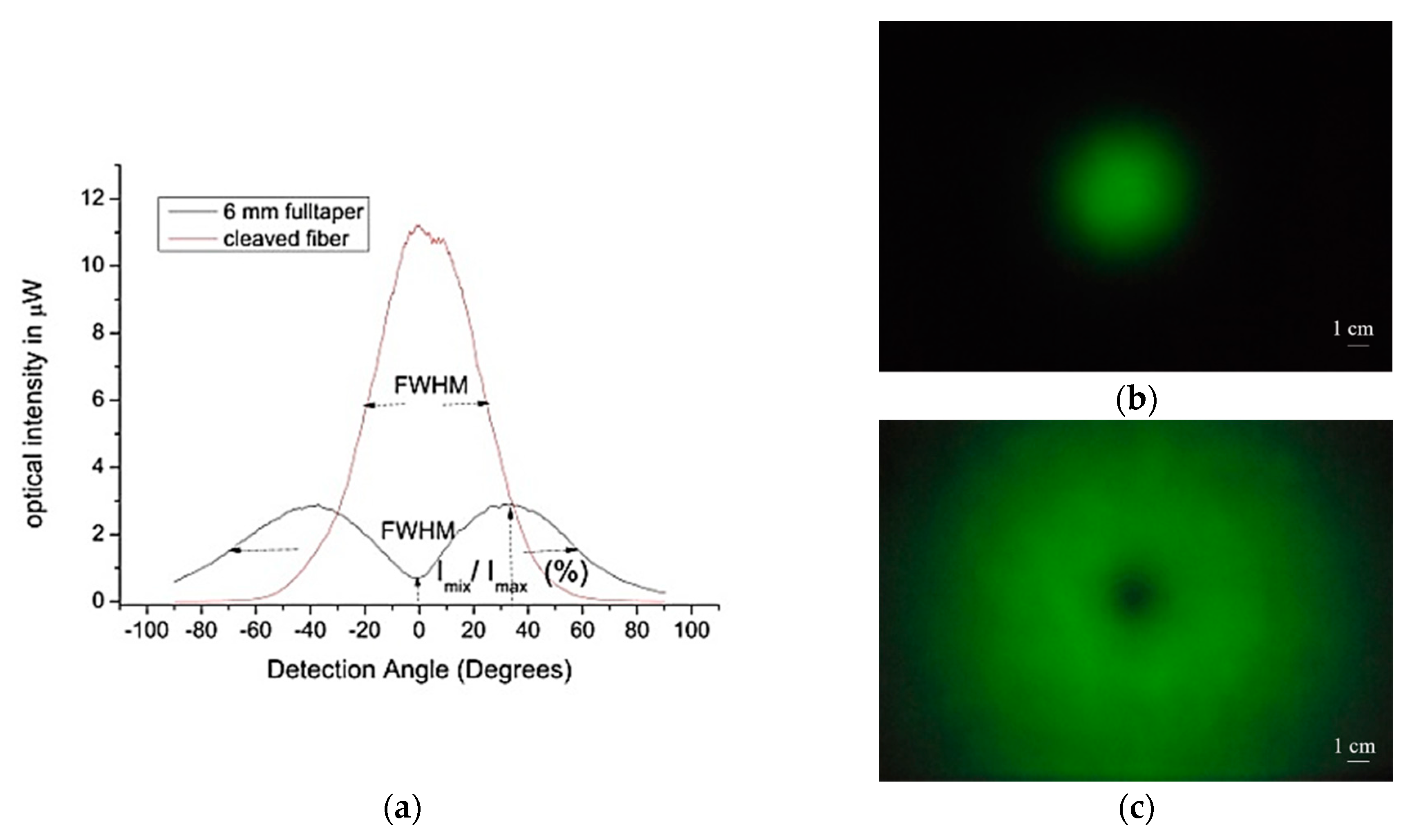 Sensors 20 02503 g007
