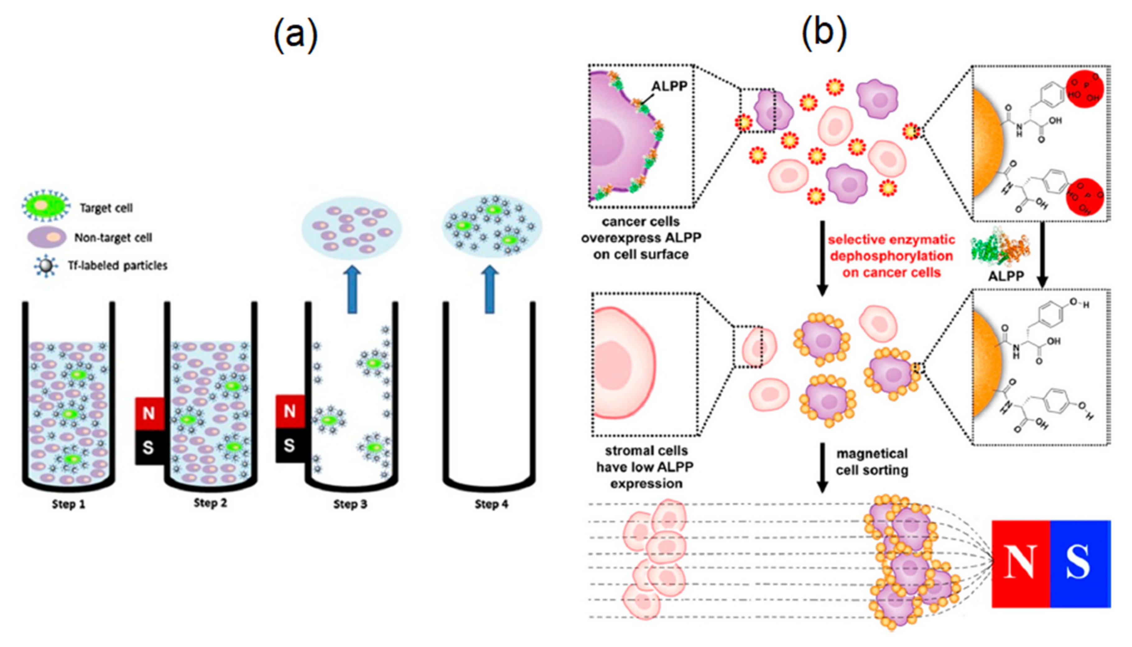 Sensors 20 02554 g020
