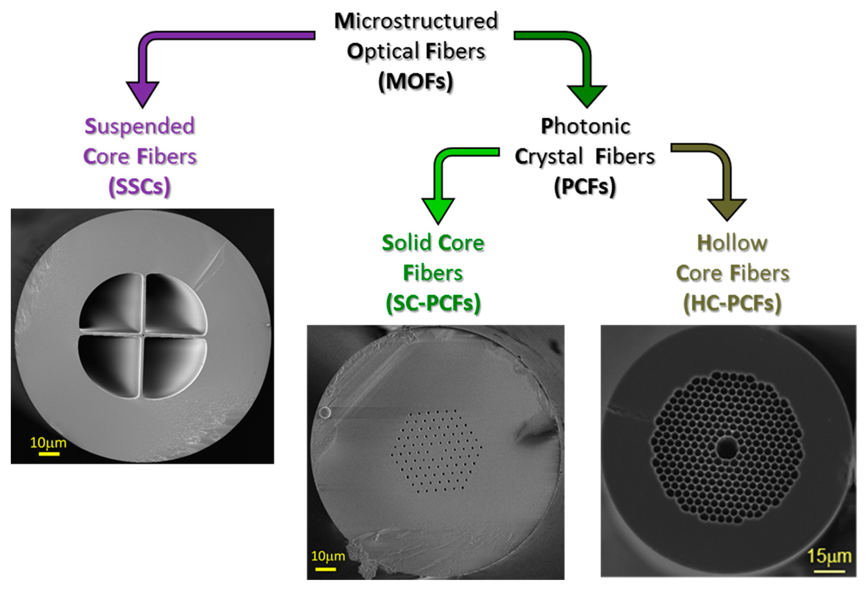 Sensors 20 02555 g001