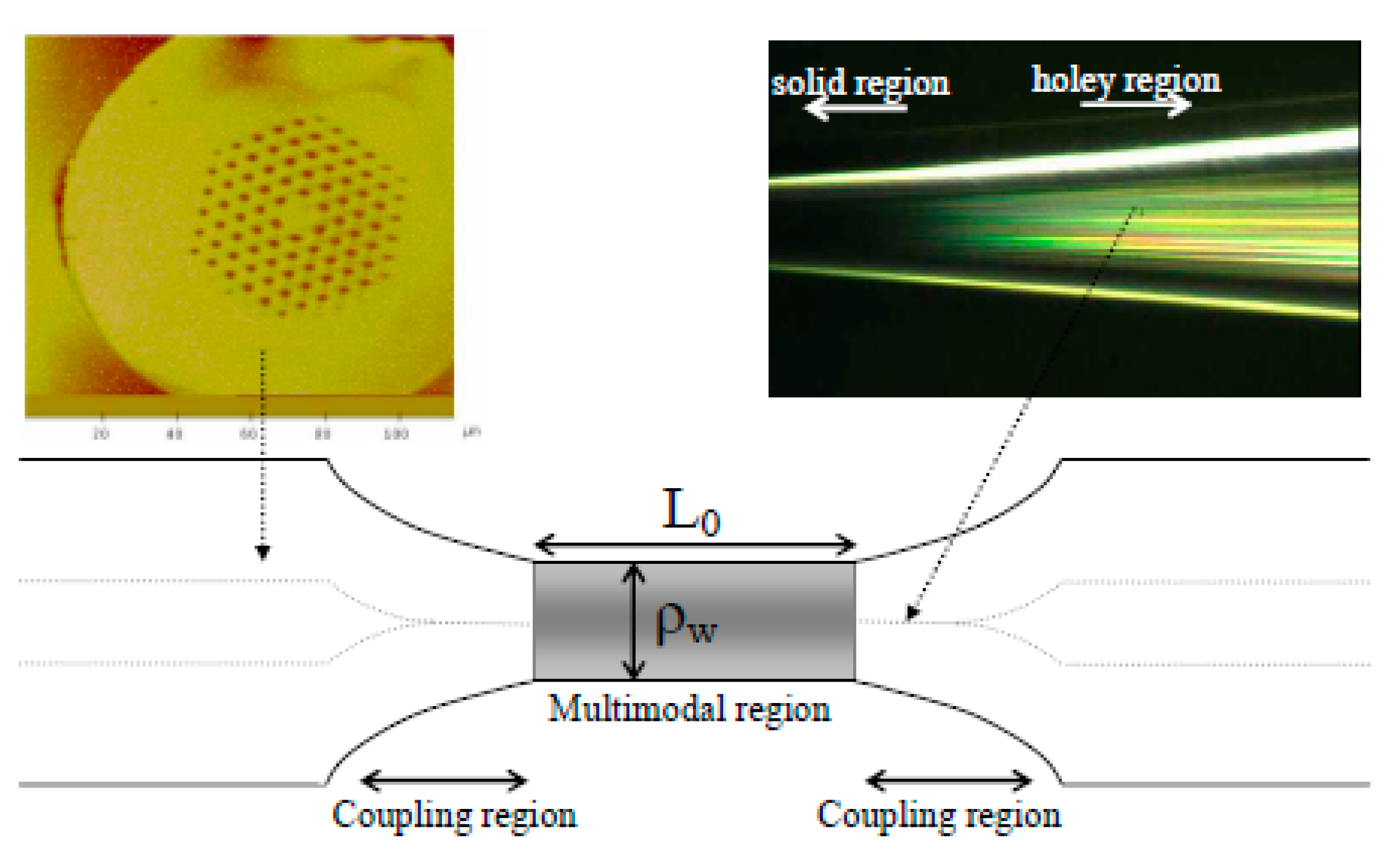 Sensors 20 02555 g007