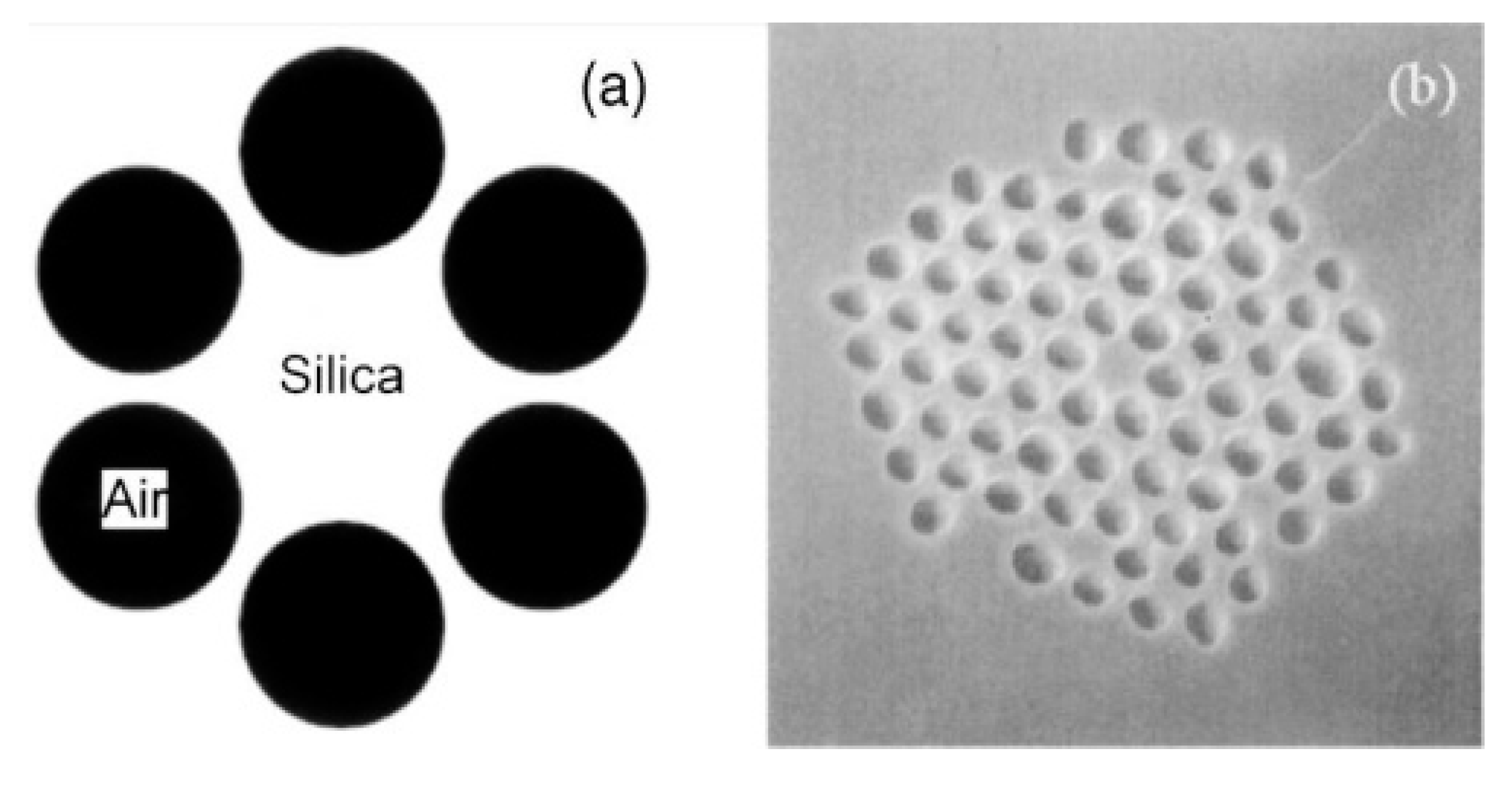 Sensors 20 02555 g009