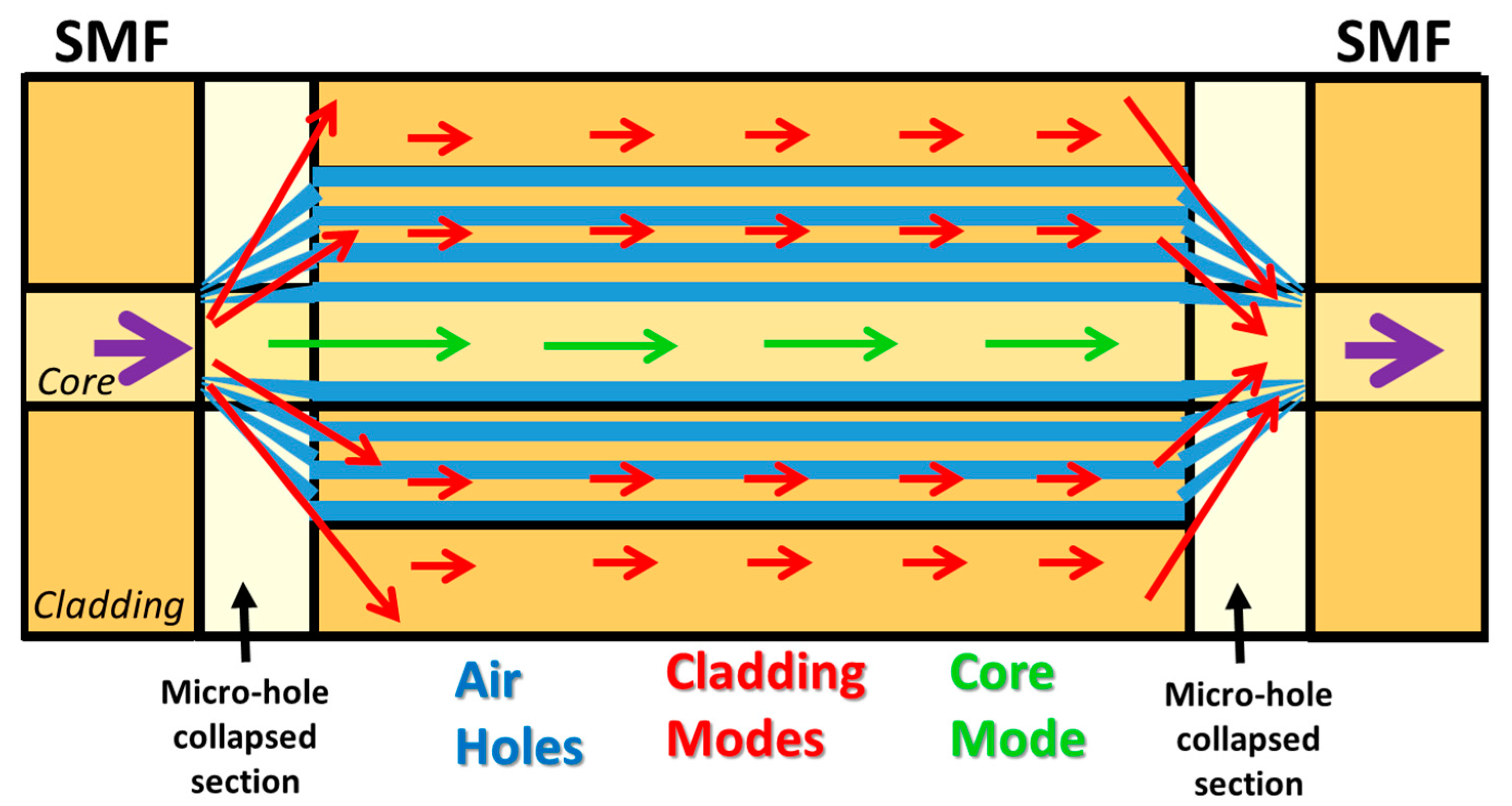 Sensors 20 02555 g012