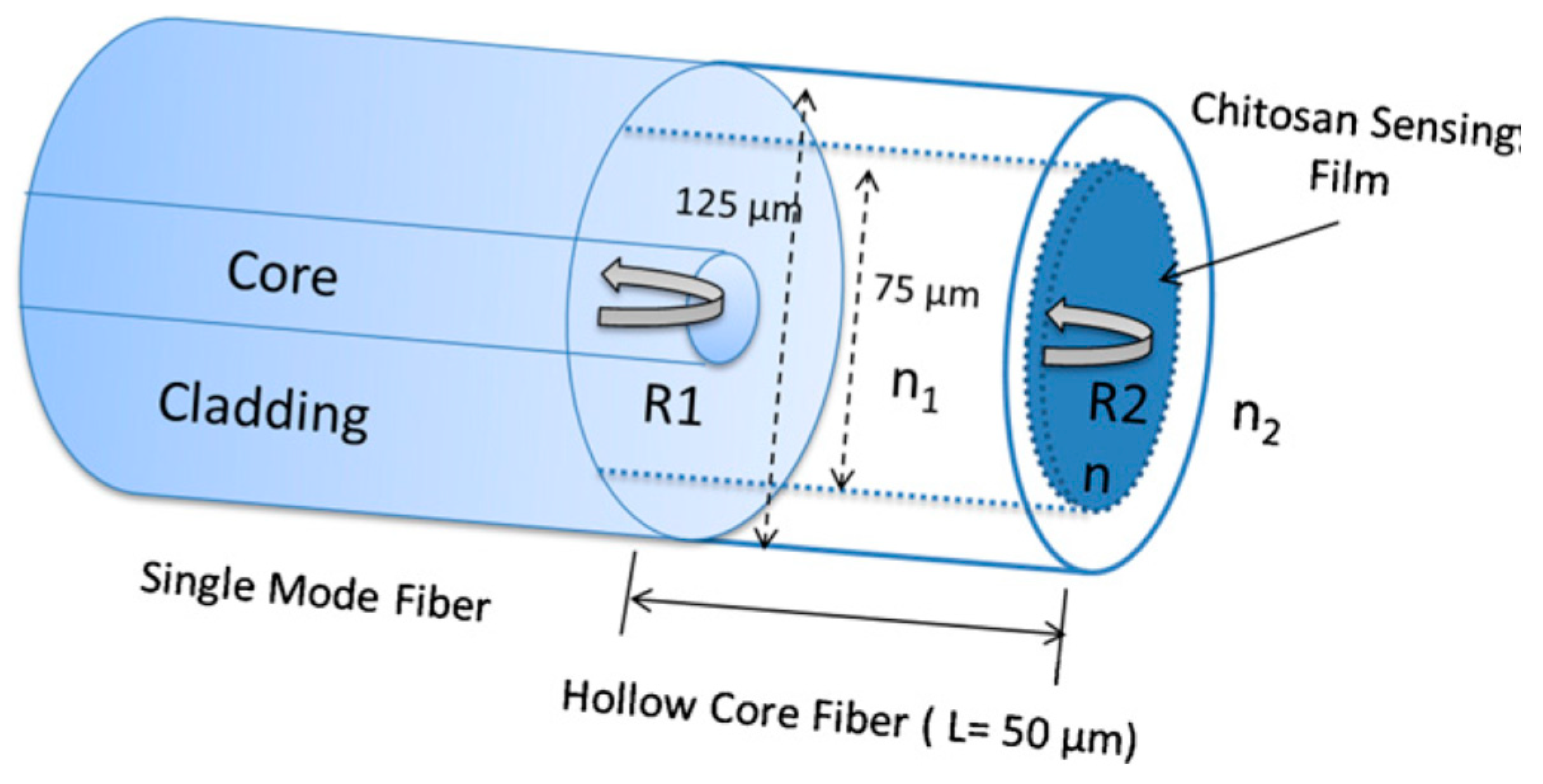 Sensors 20 02555 g017