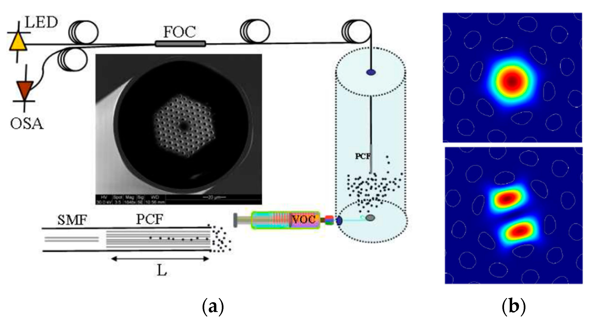 Sensors 20 02555 g021