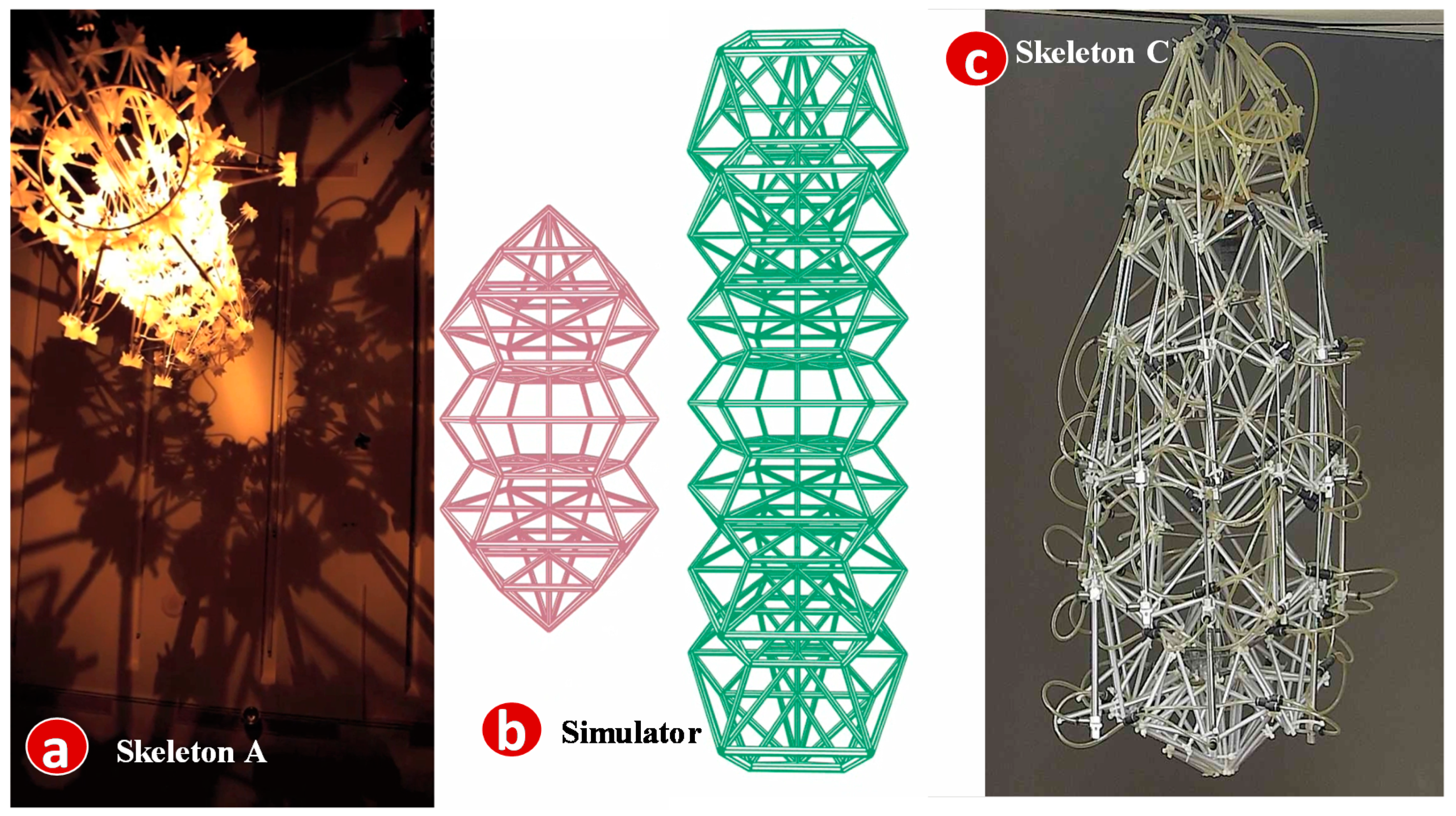 Sensors 20 02563 g009