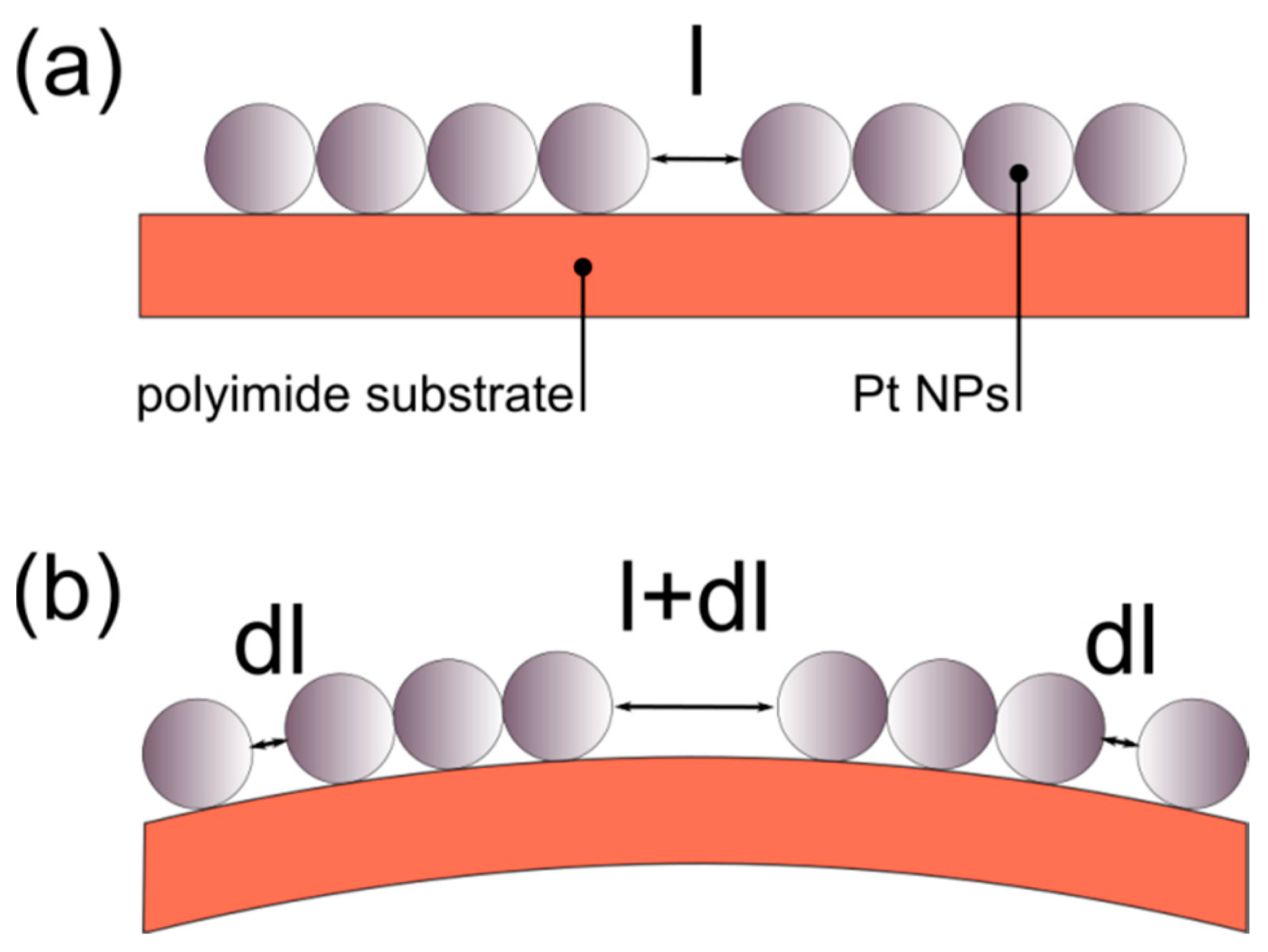 Sensors 20 02584 g007