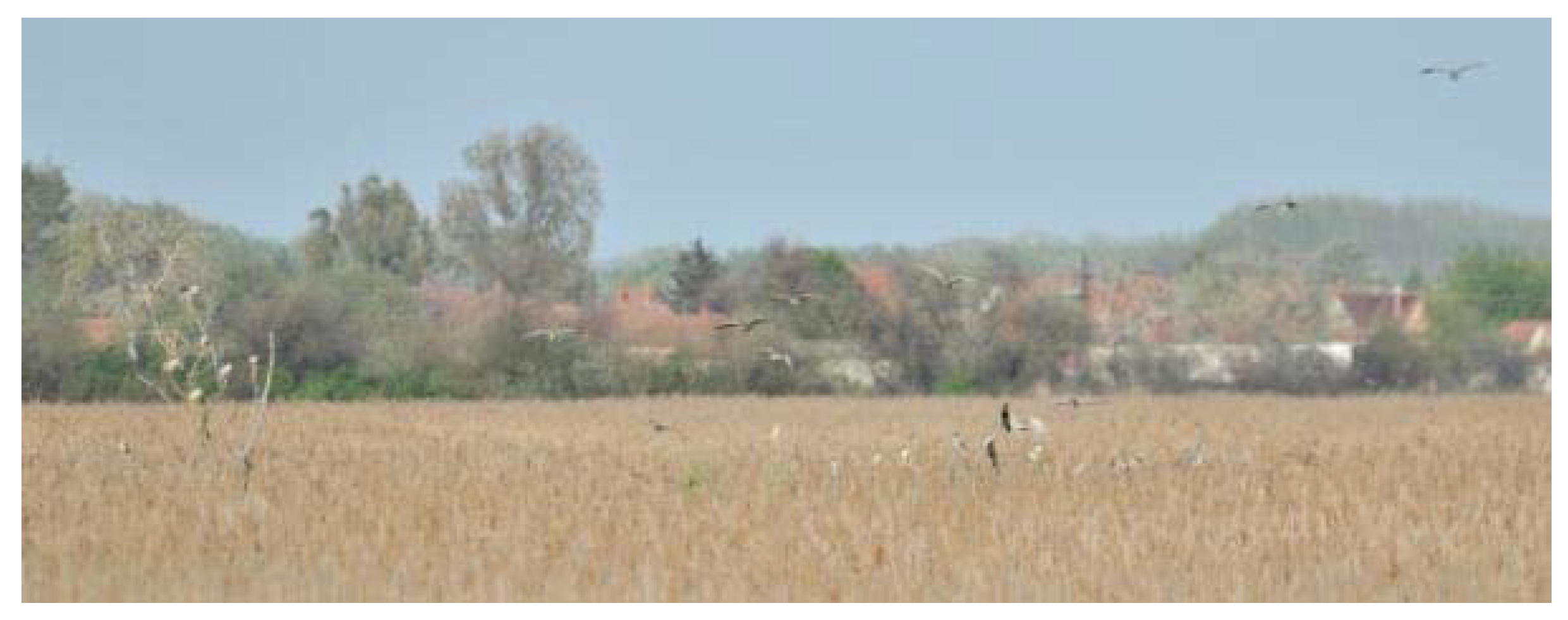 Sensors 20 02601 g001