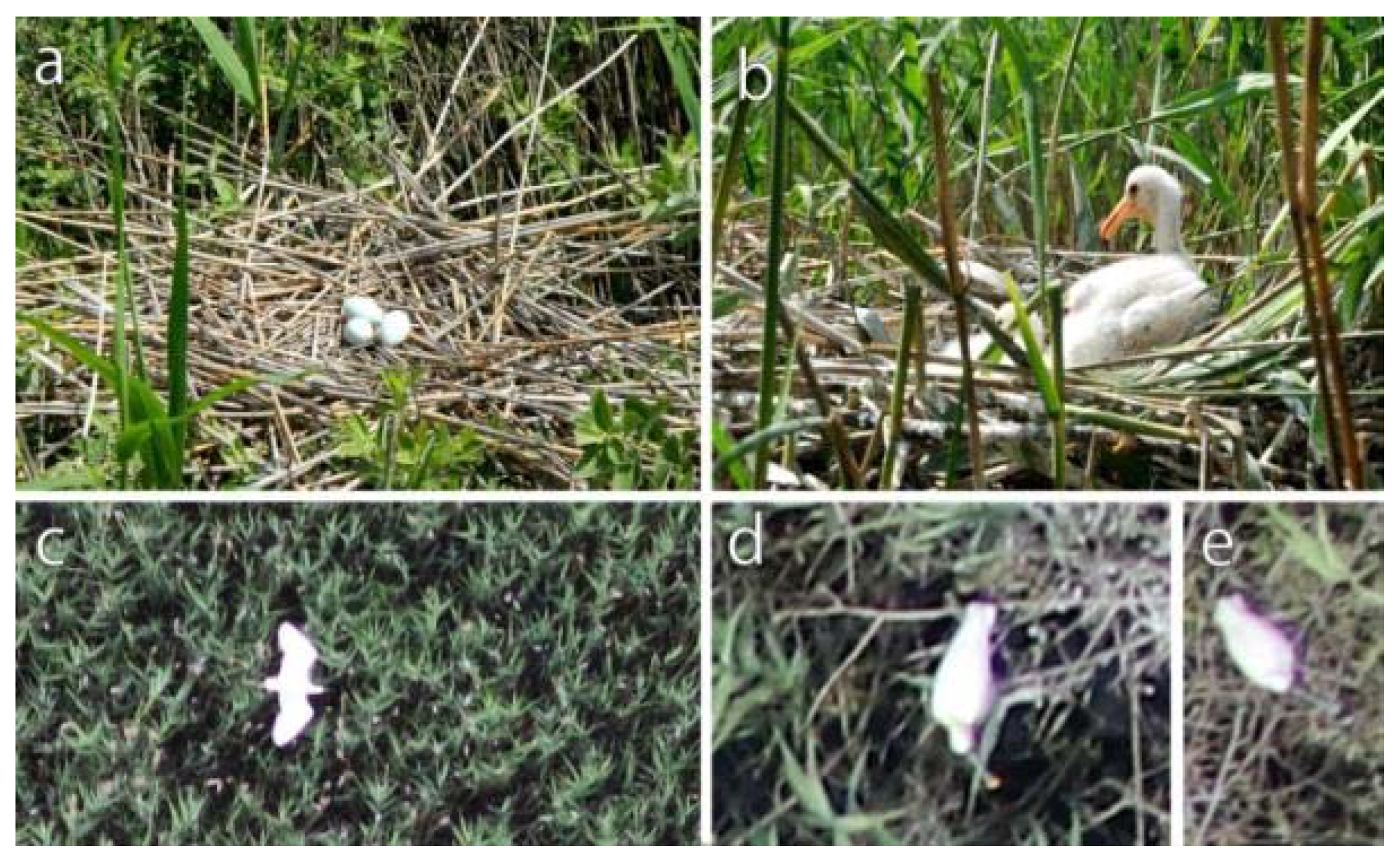 Sensors 20 02601 g003