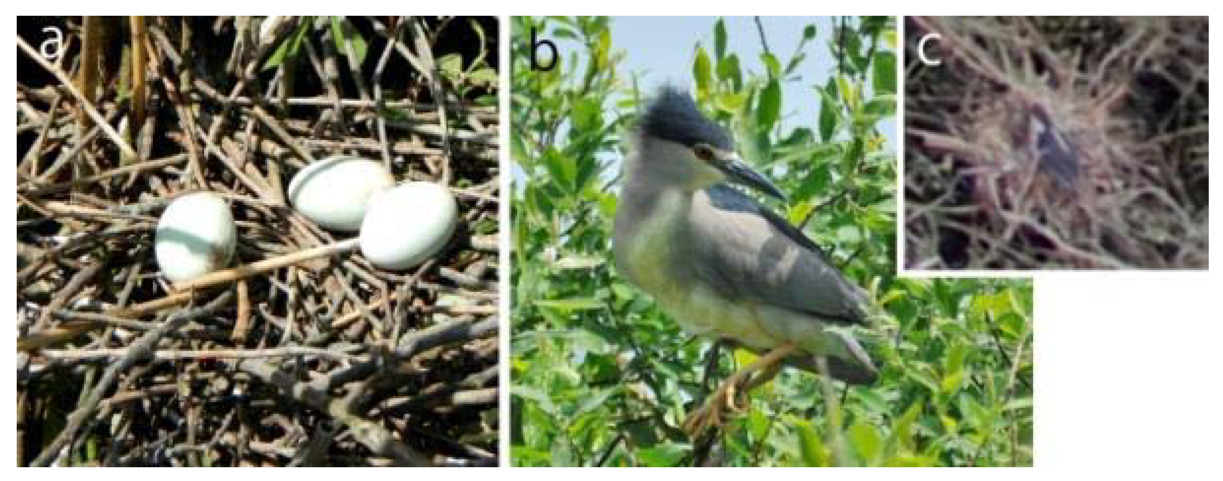 Sensors 20 02601 g004