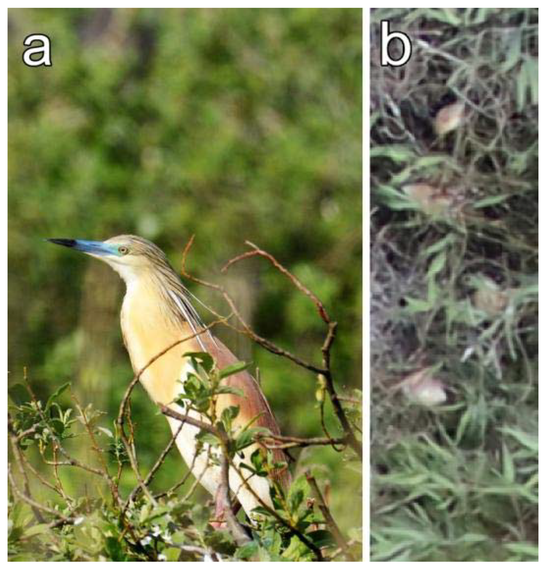 Sensors 20 02601 g005