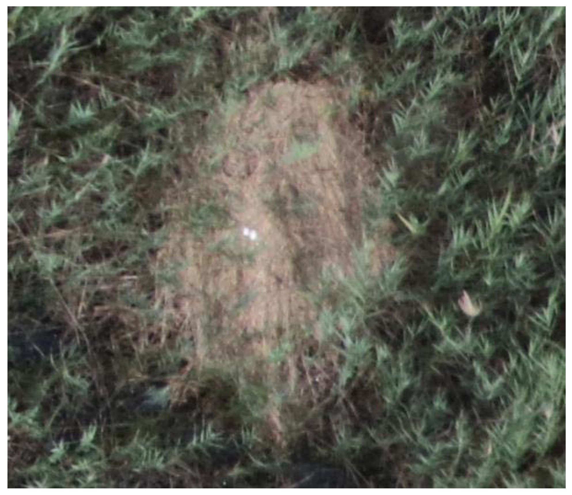 Sensors 20 02601 g009