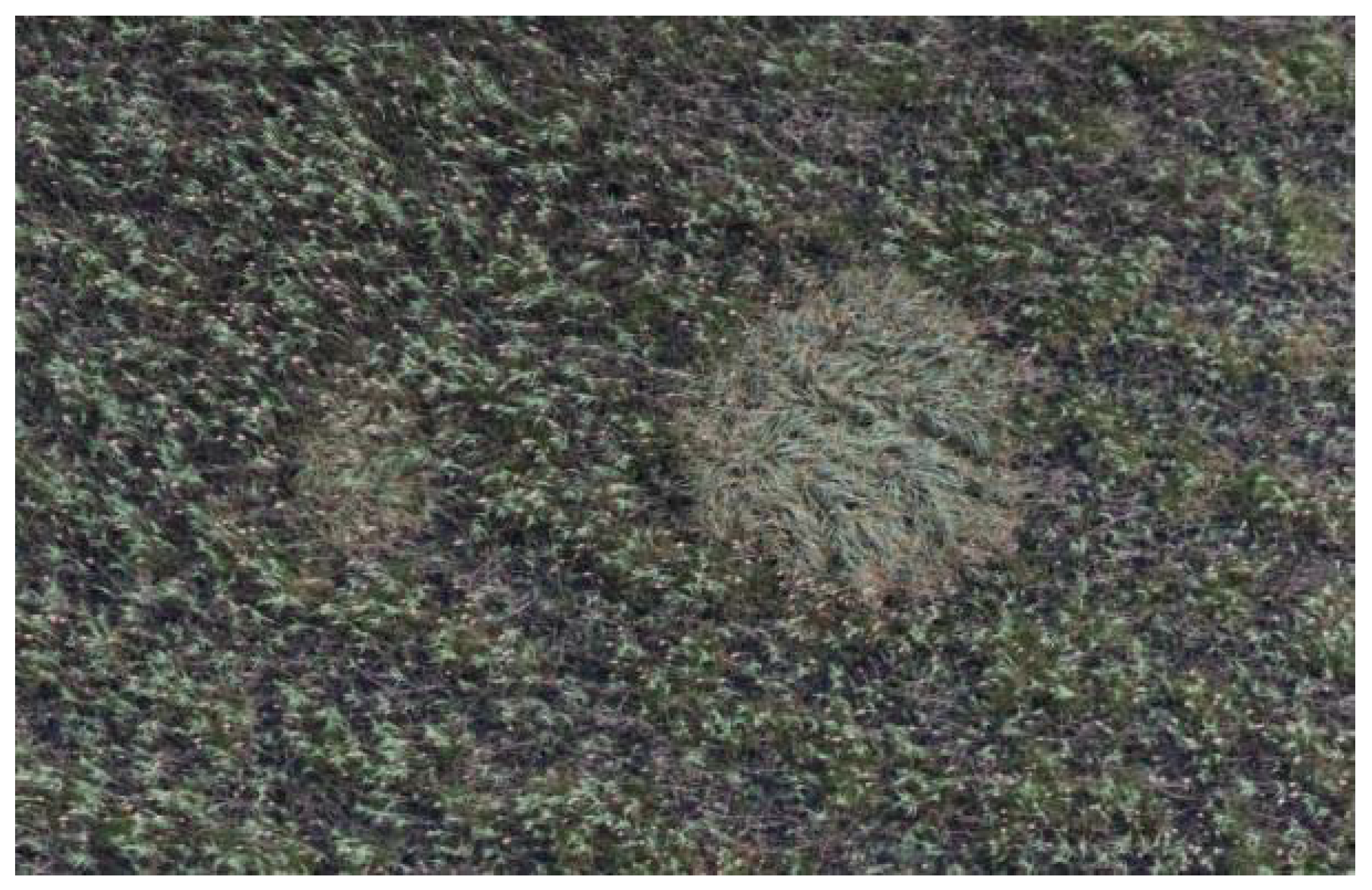 Sensors 20 02601 g010