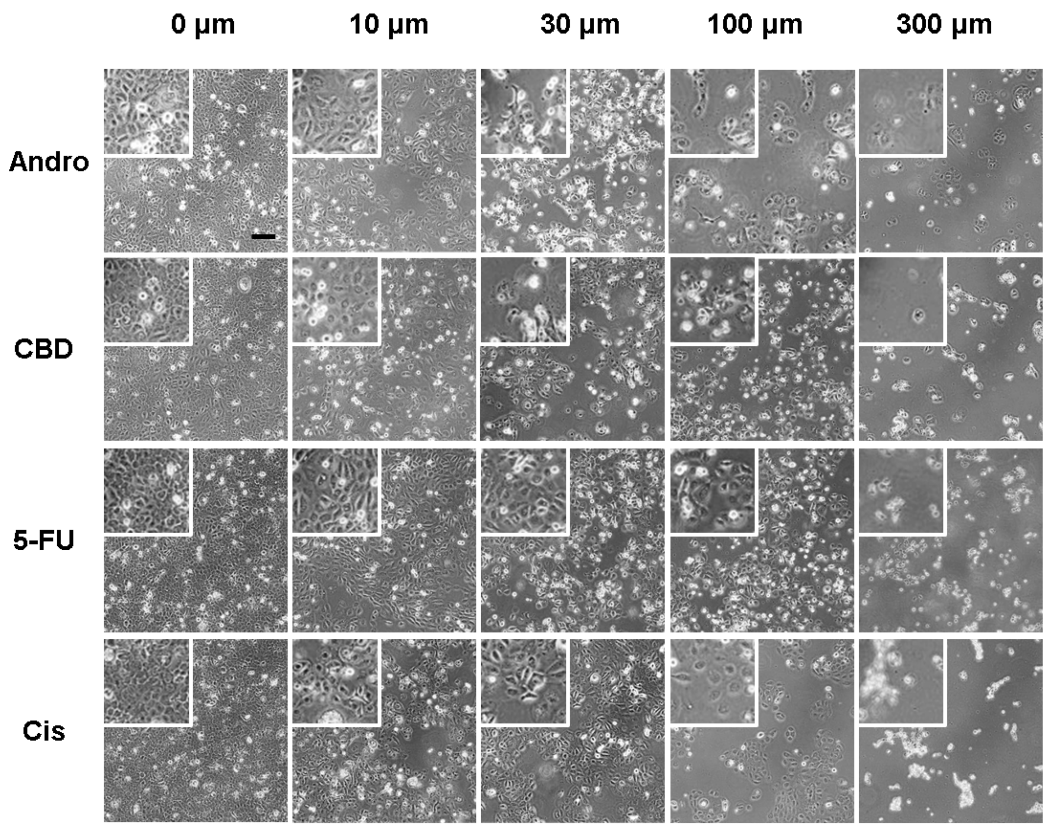 Sensors 20 02632 g001