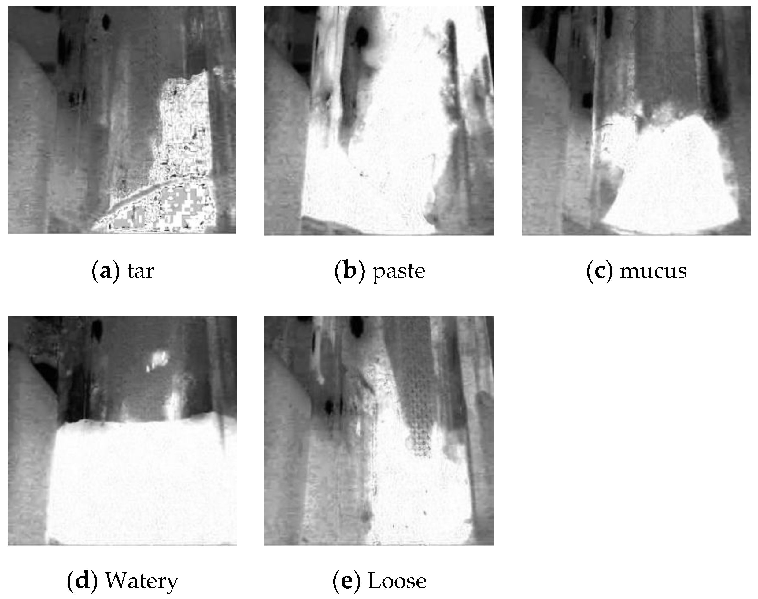 Sensors 20 02644 g004