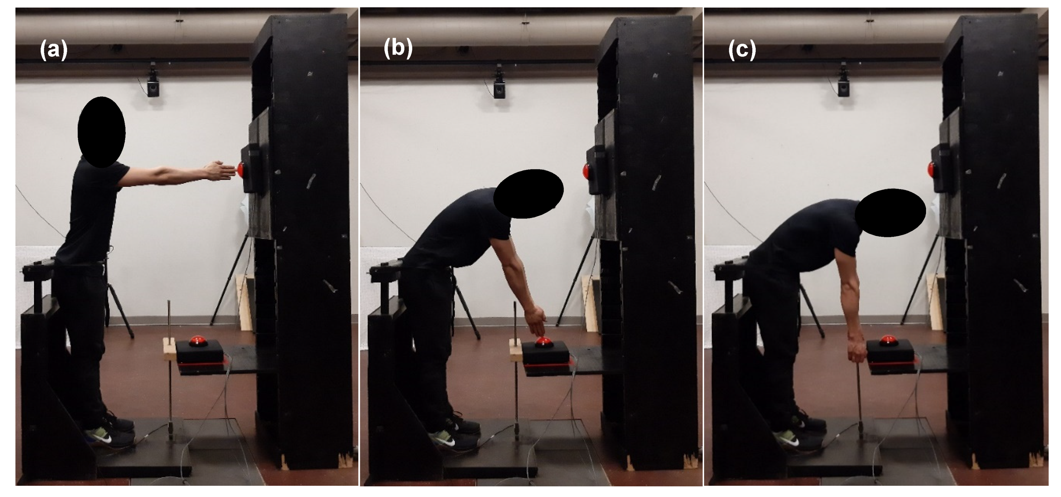 Sensors 20 02646 g001