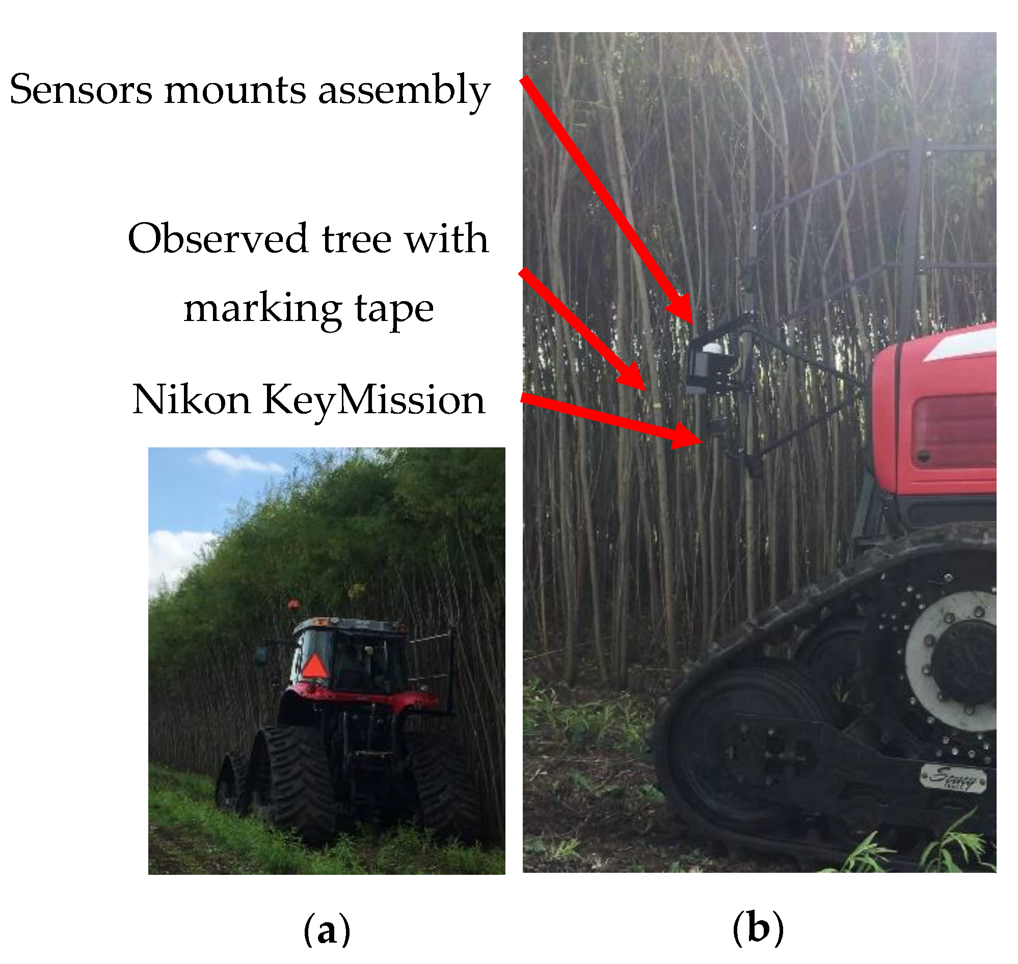Sensors 20 02650 g007