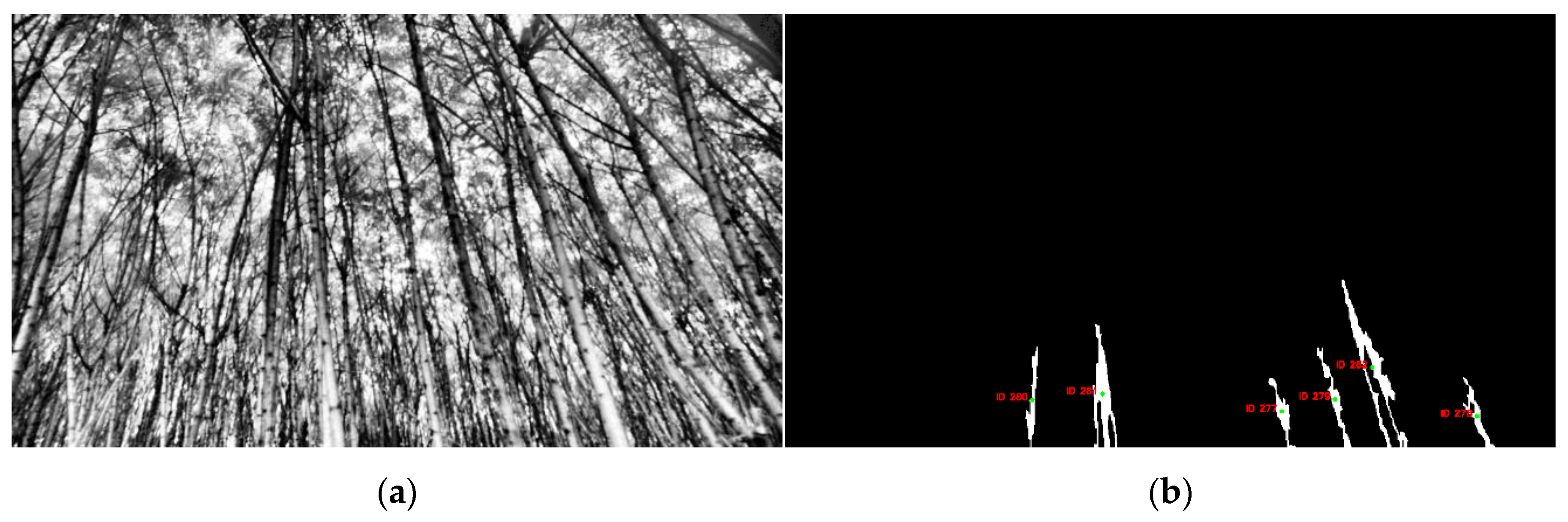 Sensors 20 02650 g011