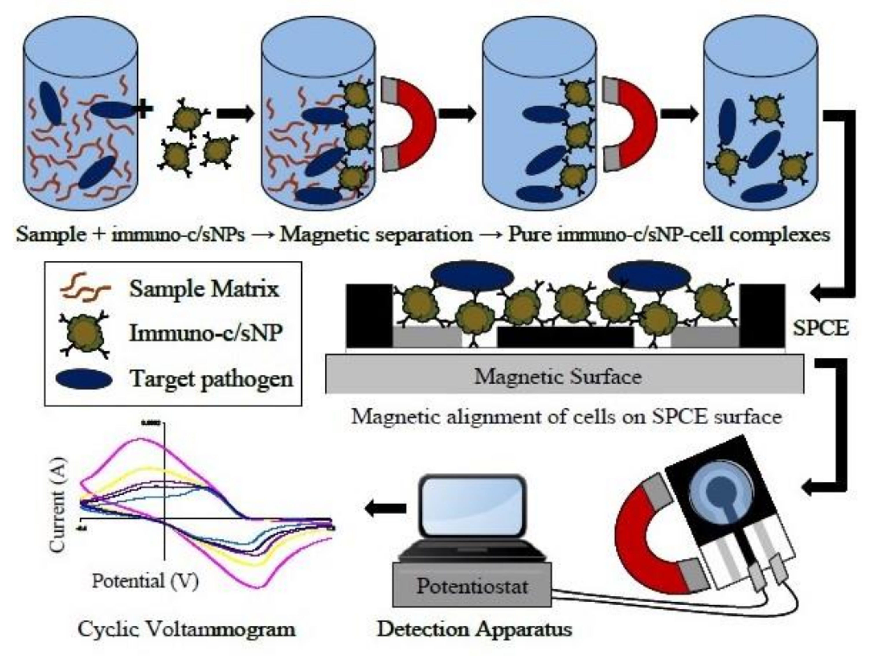 Sensors 20 02667 g003 Sensors 20 02667 g003