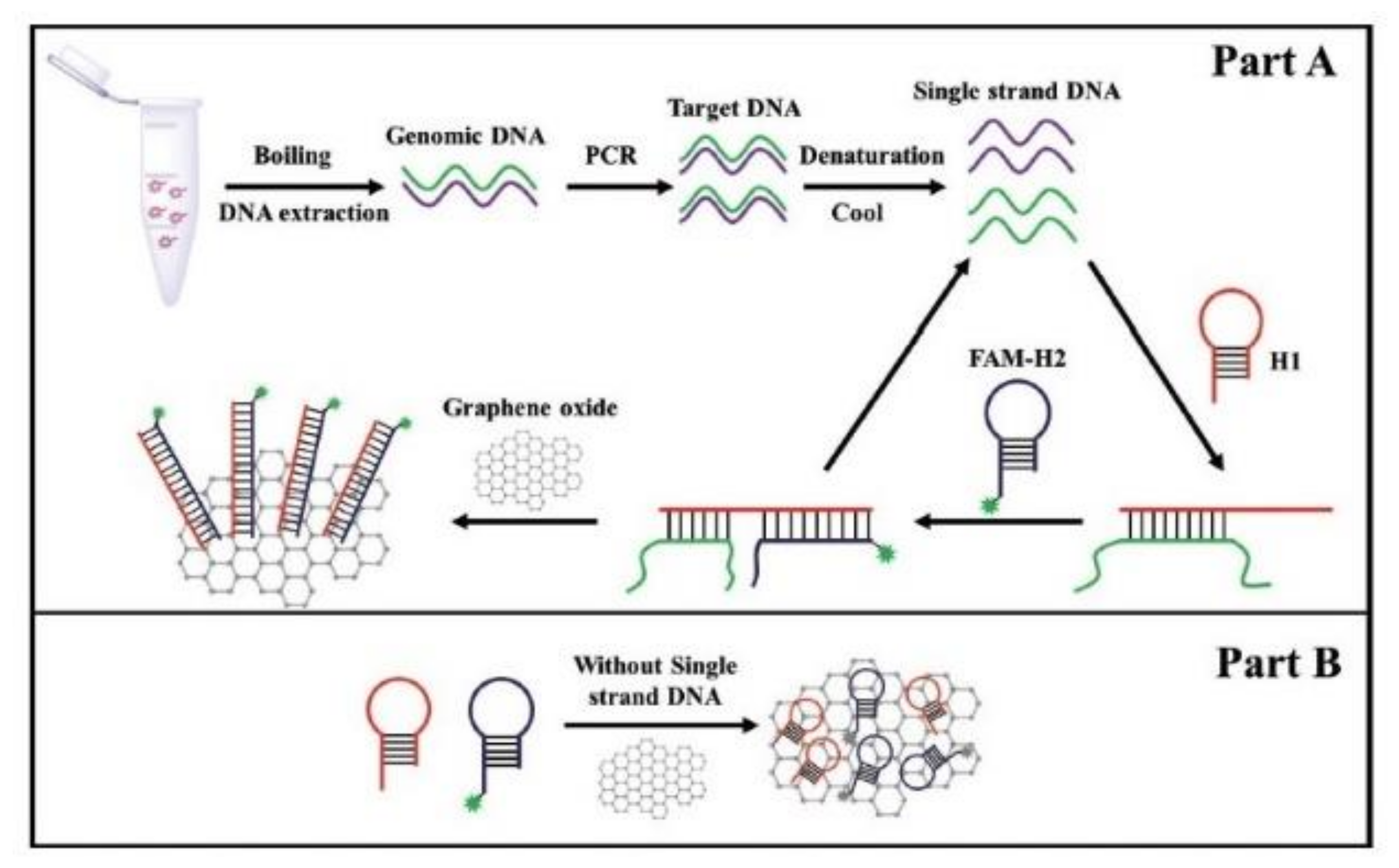 Sensors 20 02667 g005 Sensors 20 02667 g005