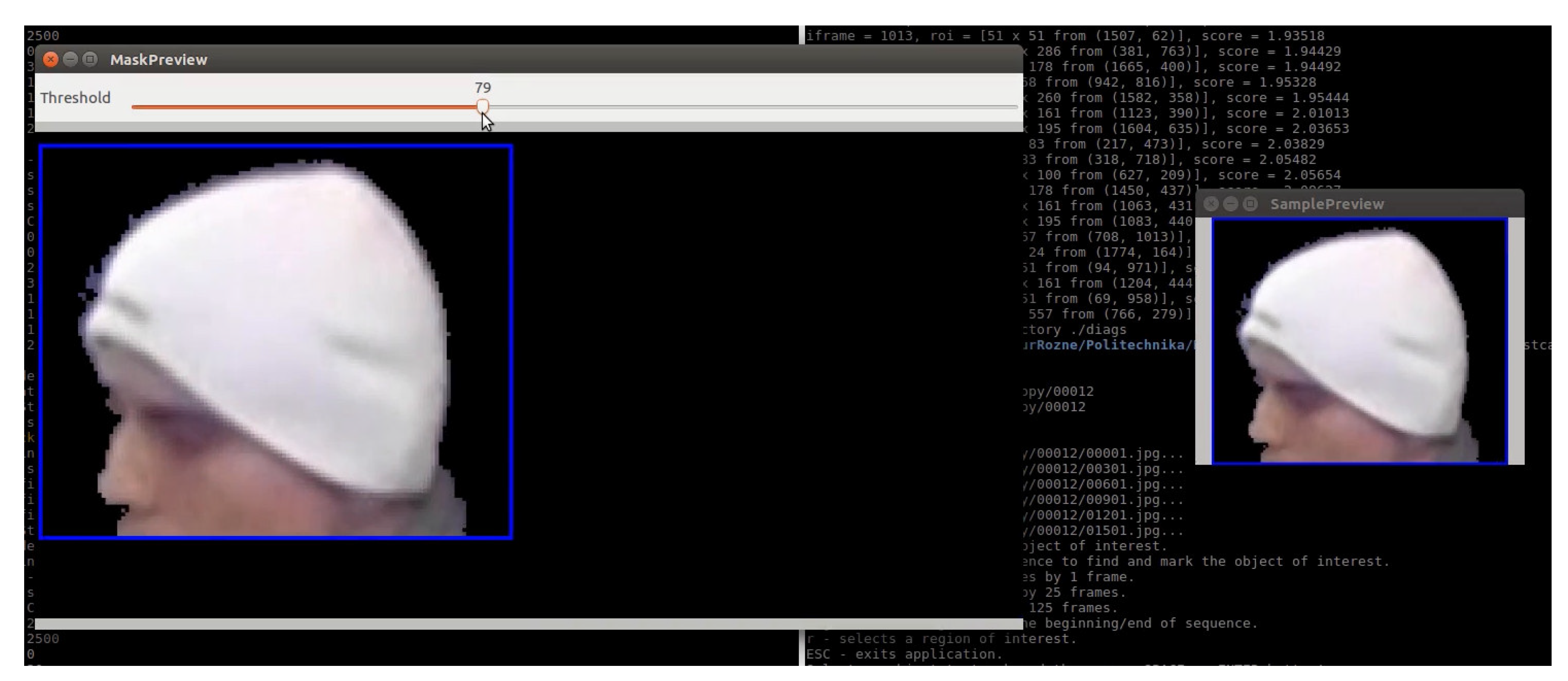 Sensors 20 02689 g002