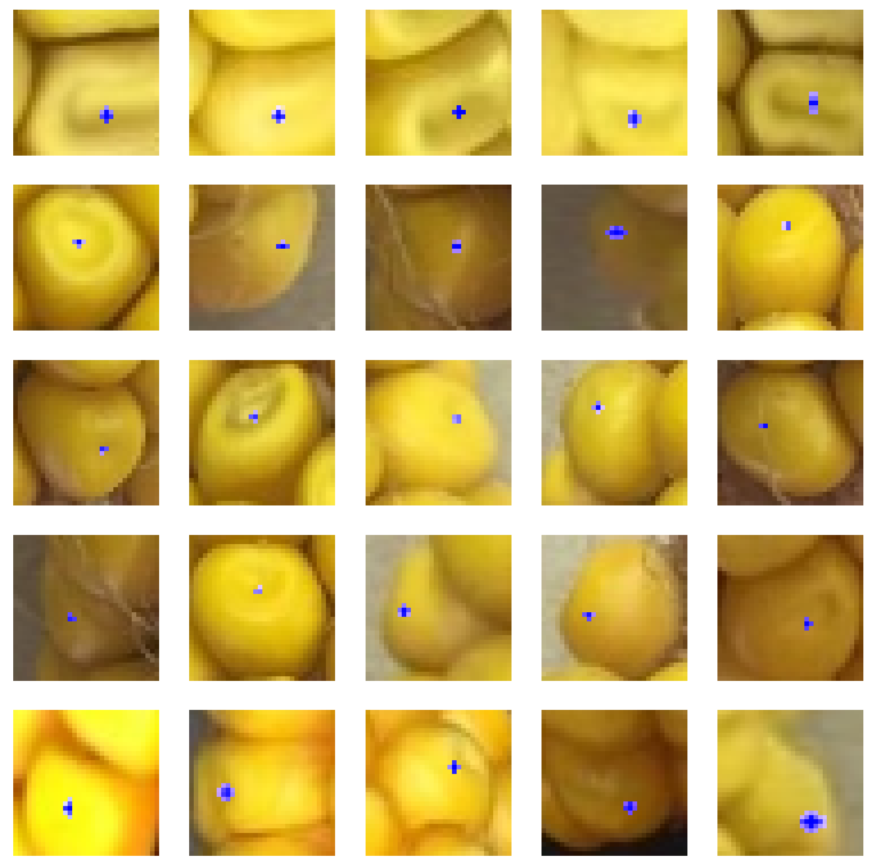 Sensors 20 02721 g005