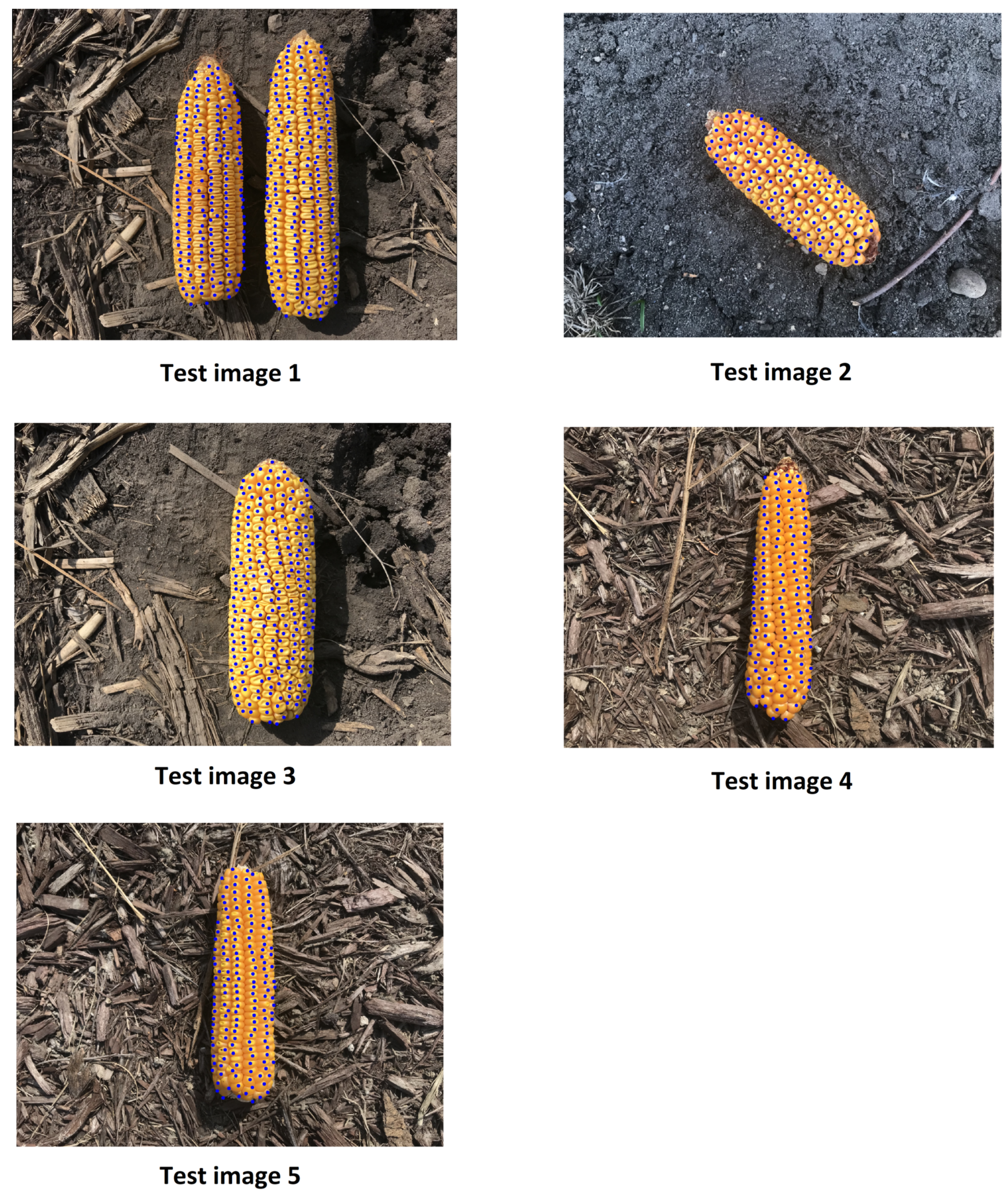 Sensors 20 02721 g008