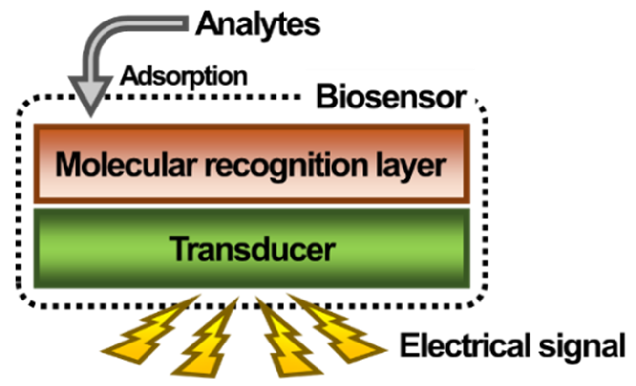 Sensors 20 02775 g001