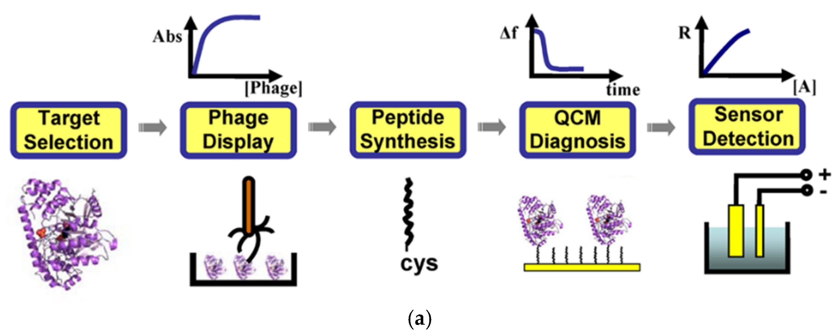 Sensors 20 02775 g002a