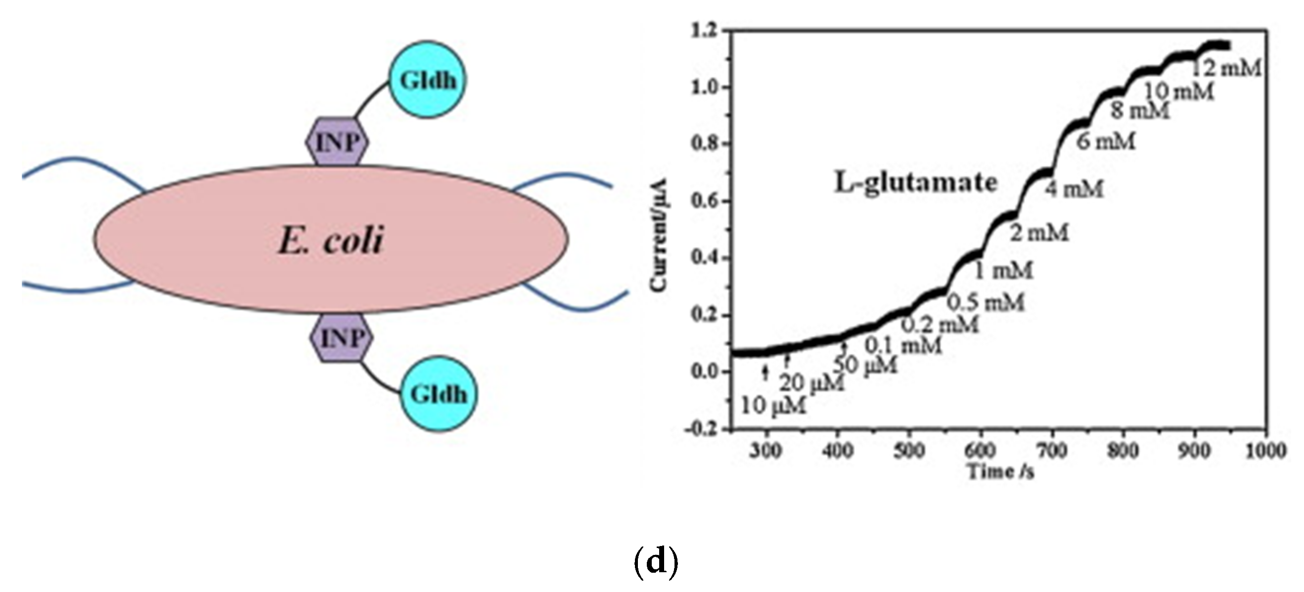 Sensors 20 02775 g003b