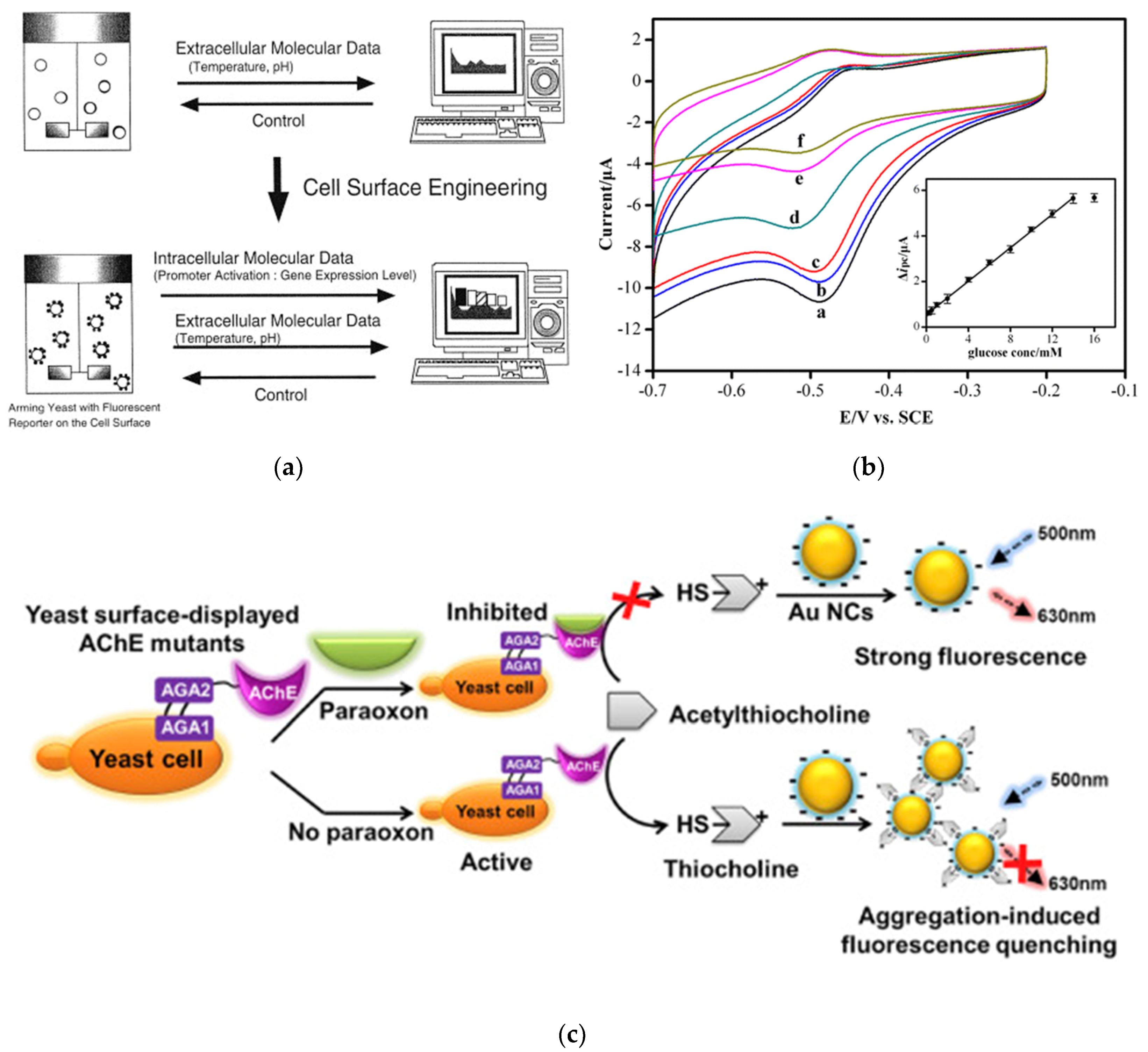 Sensors 20 02775 g004