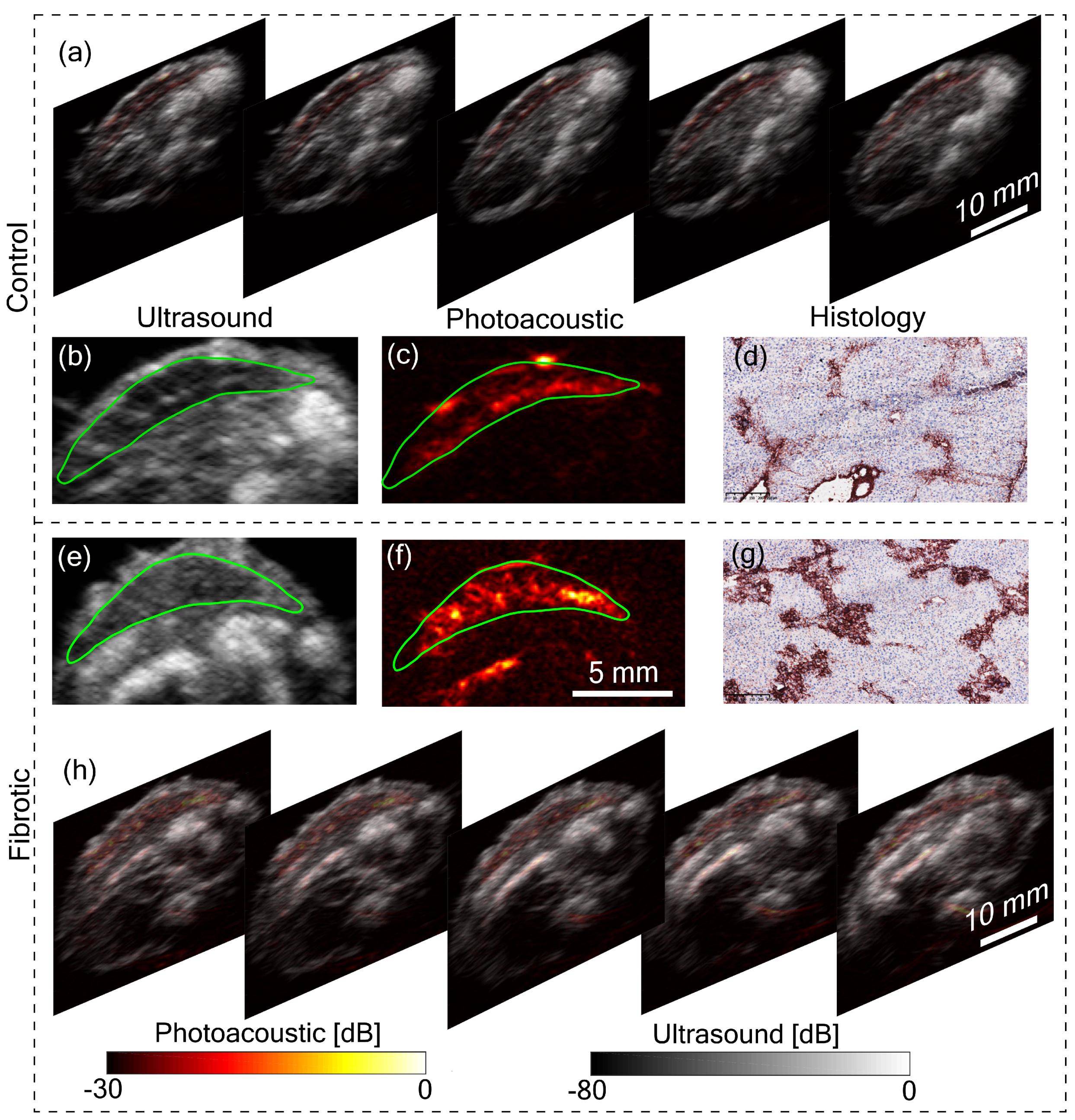 Sensors 20 02793 g003 Sensors 20 02793 g003