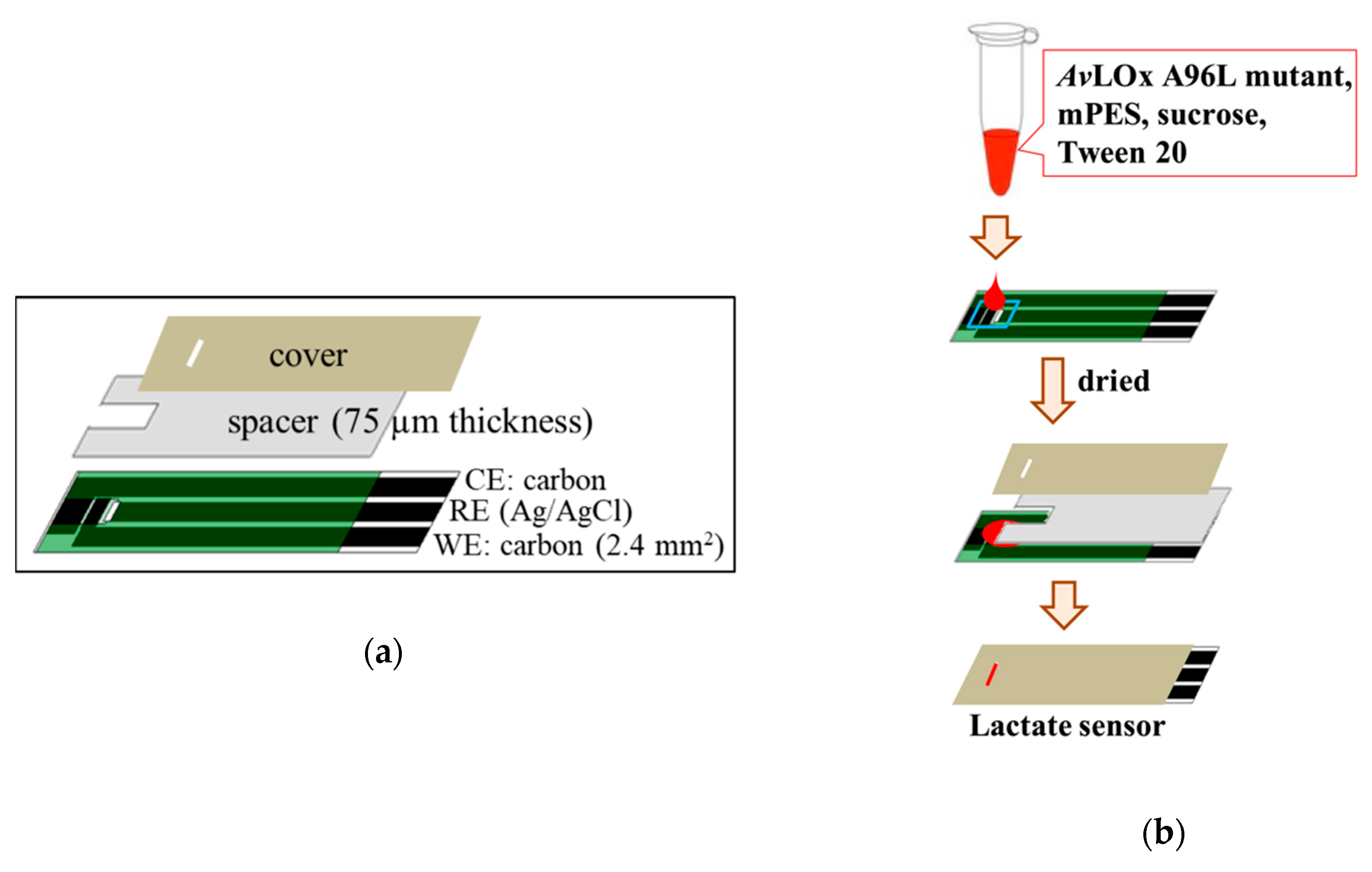 Sensors 20 02825 g001