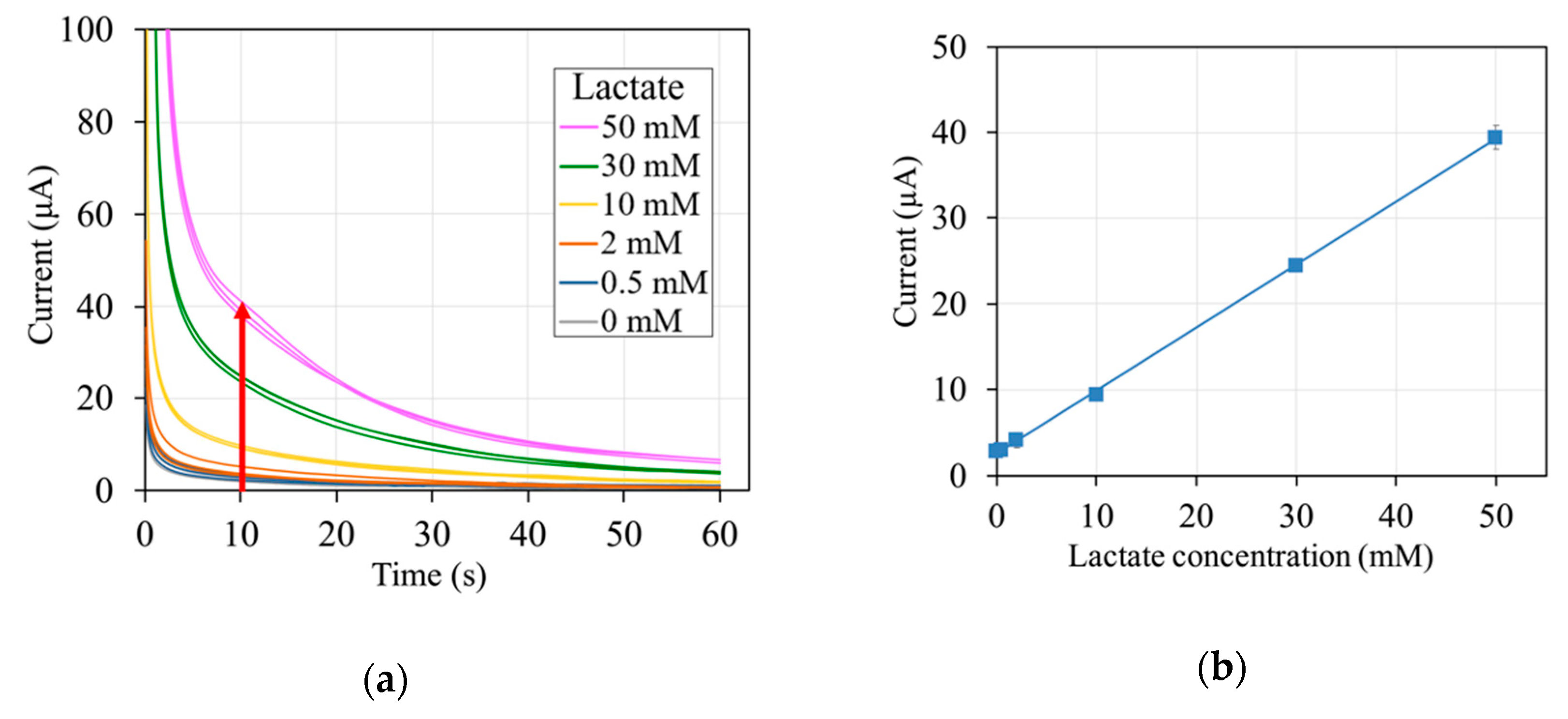 Sensors 20 02825 g002